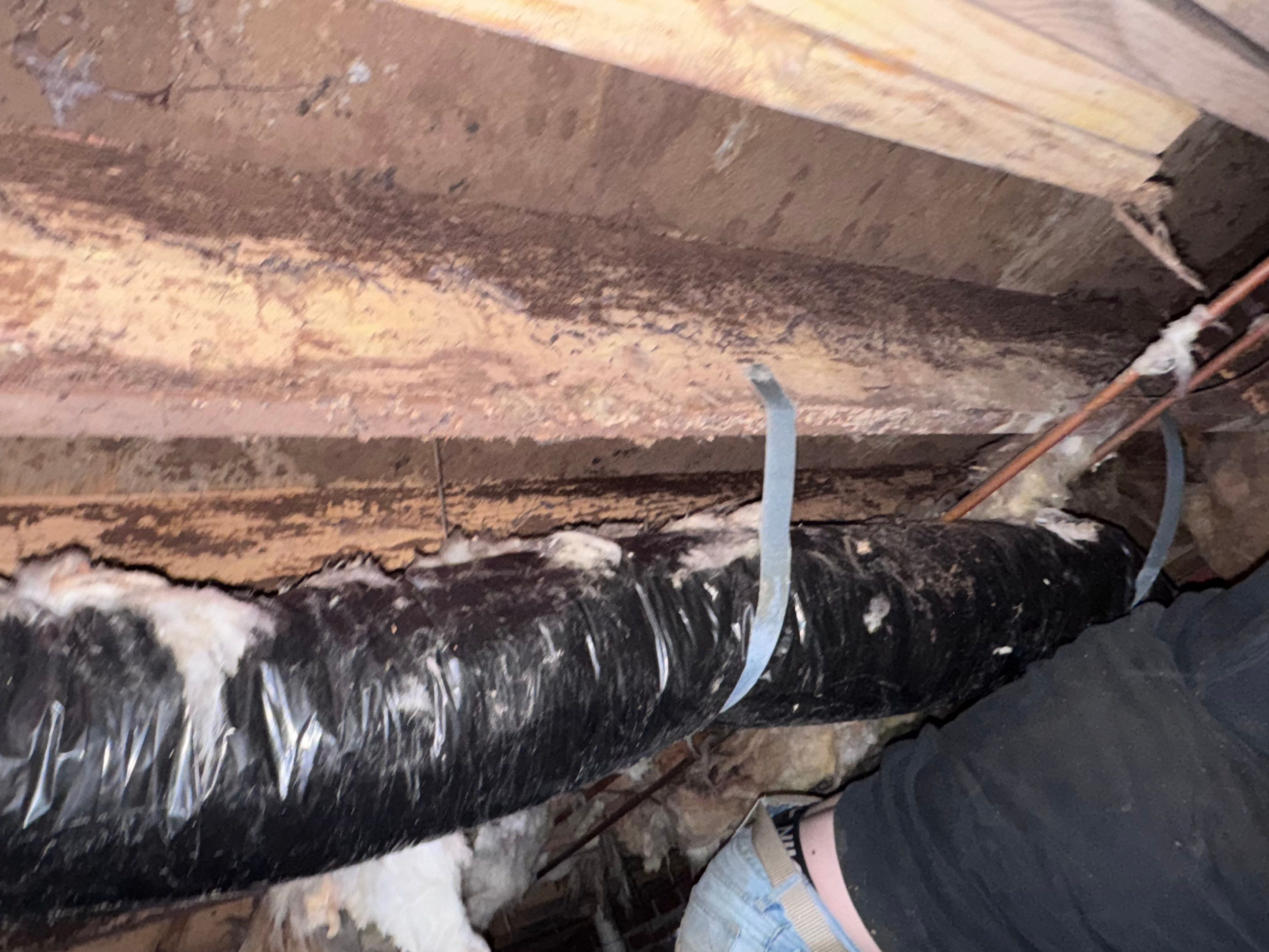Structural Repairs inludiing sub-floor removal, new floor joists installed, girder replacmeent and dropped girder installed. by Impact Crawlspace