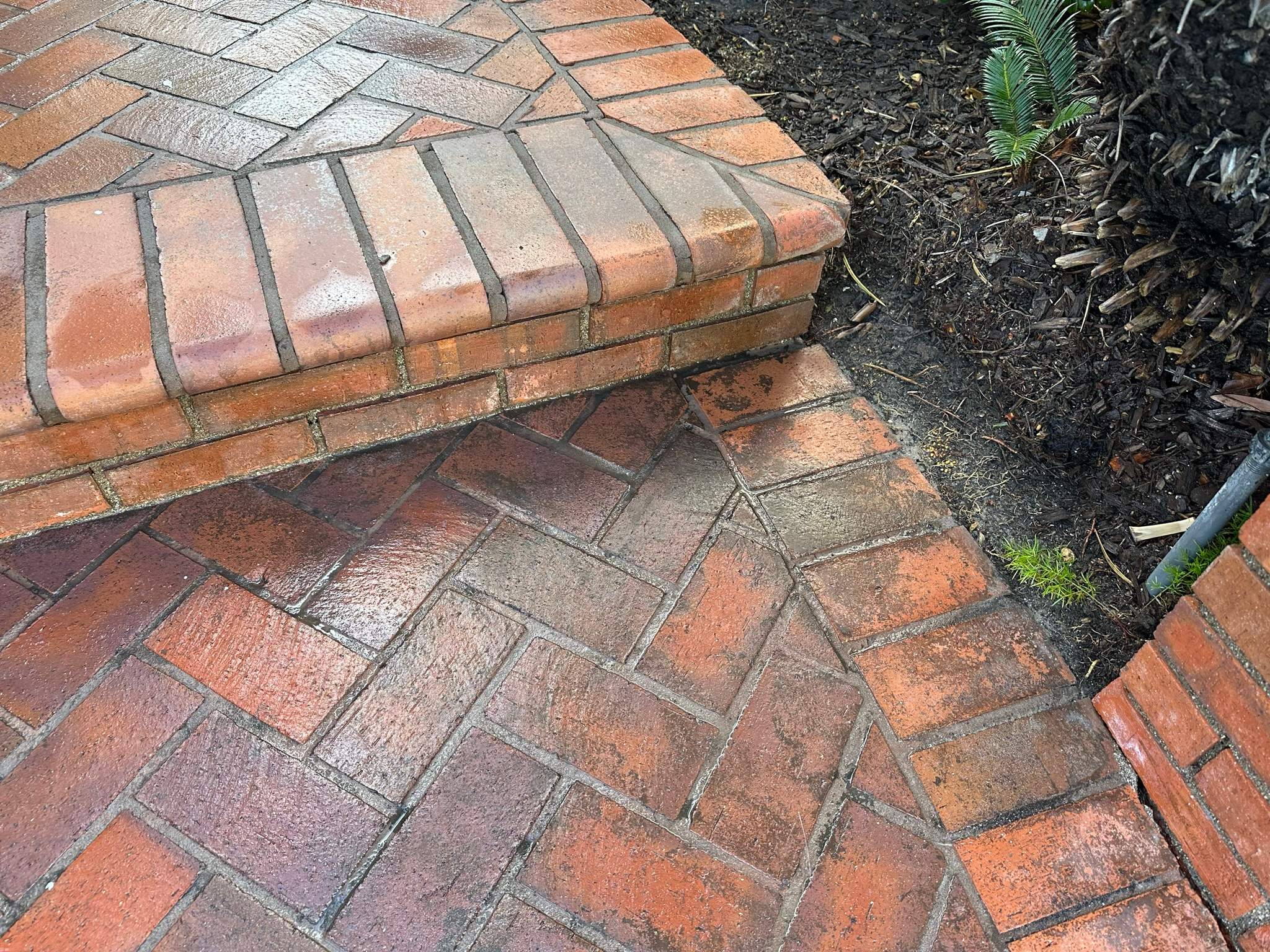 Orange County Clay Tile Roof Soft Wash on Unwalkwable Roof by Property Cleaning Experts