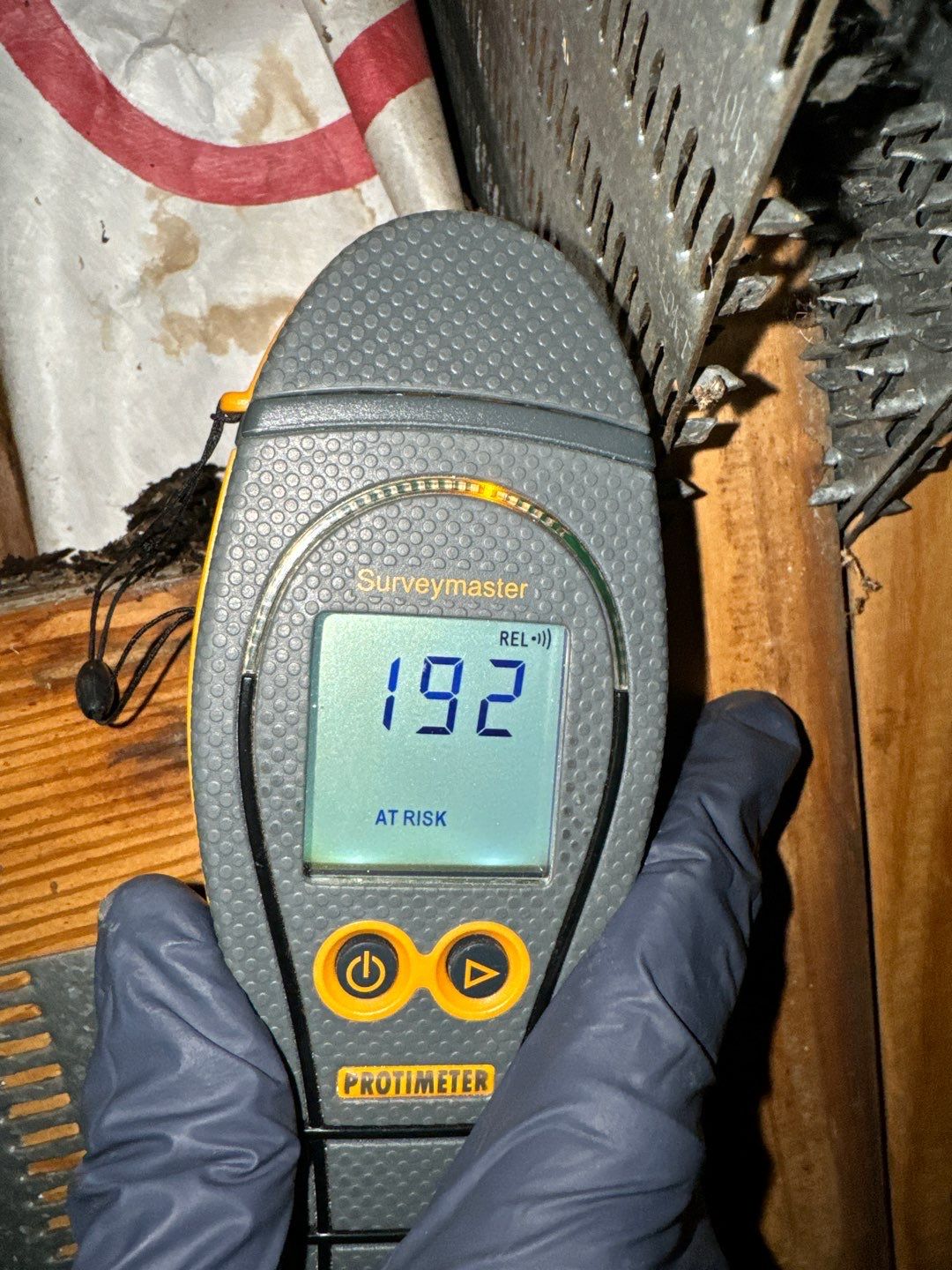 Garage Ceiling Water Damage/Mold Remediation by Chicagoland Water Medics