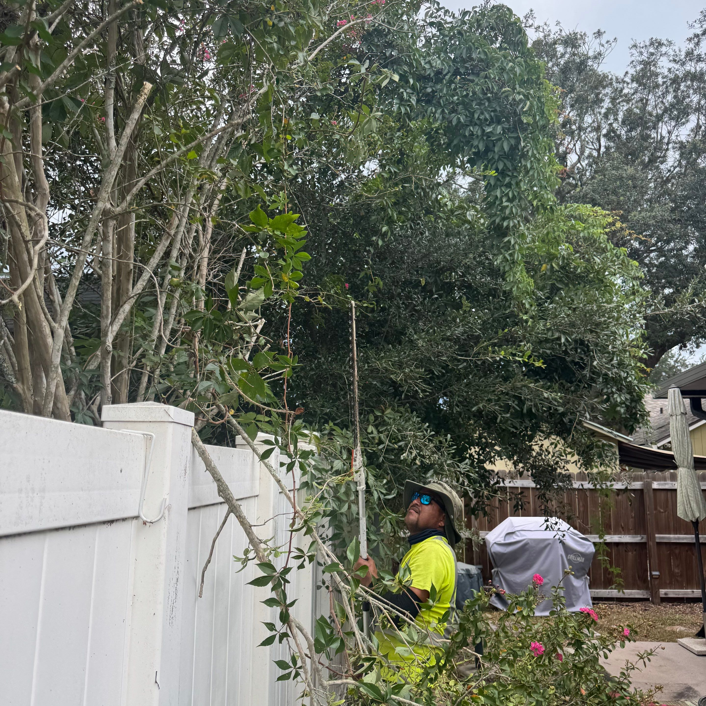 Residential | Tree Trimming  by ProGreen Services