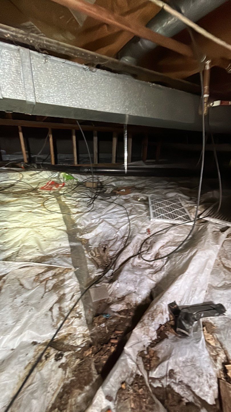 Sewage Backup by Accountable Home Services