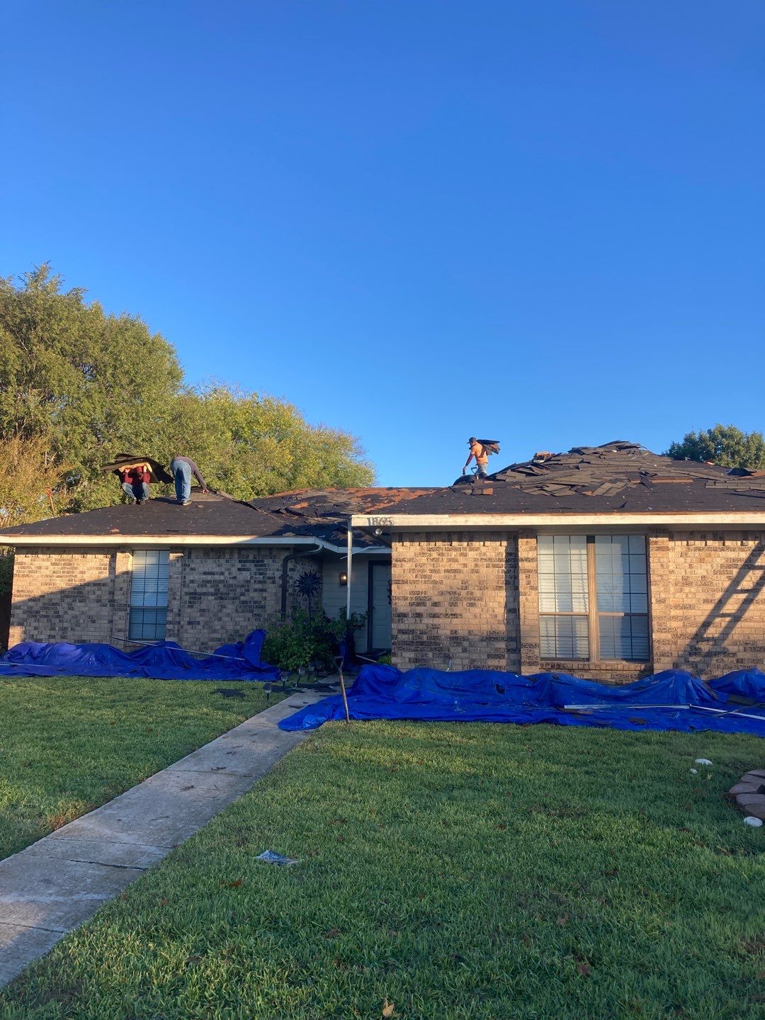 Project in Lewisville by Armor Roofing | Exteriors