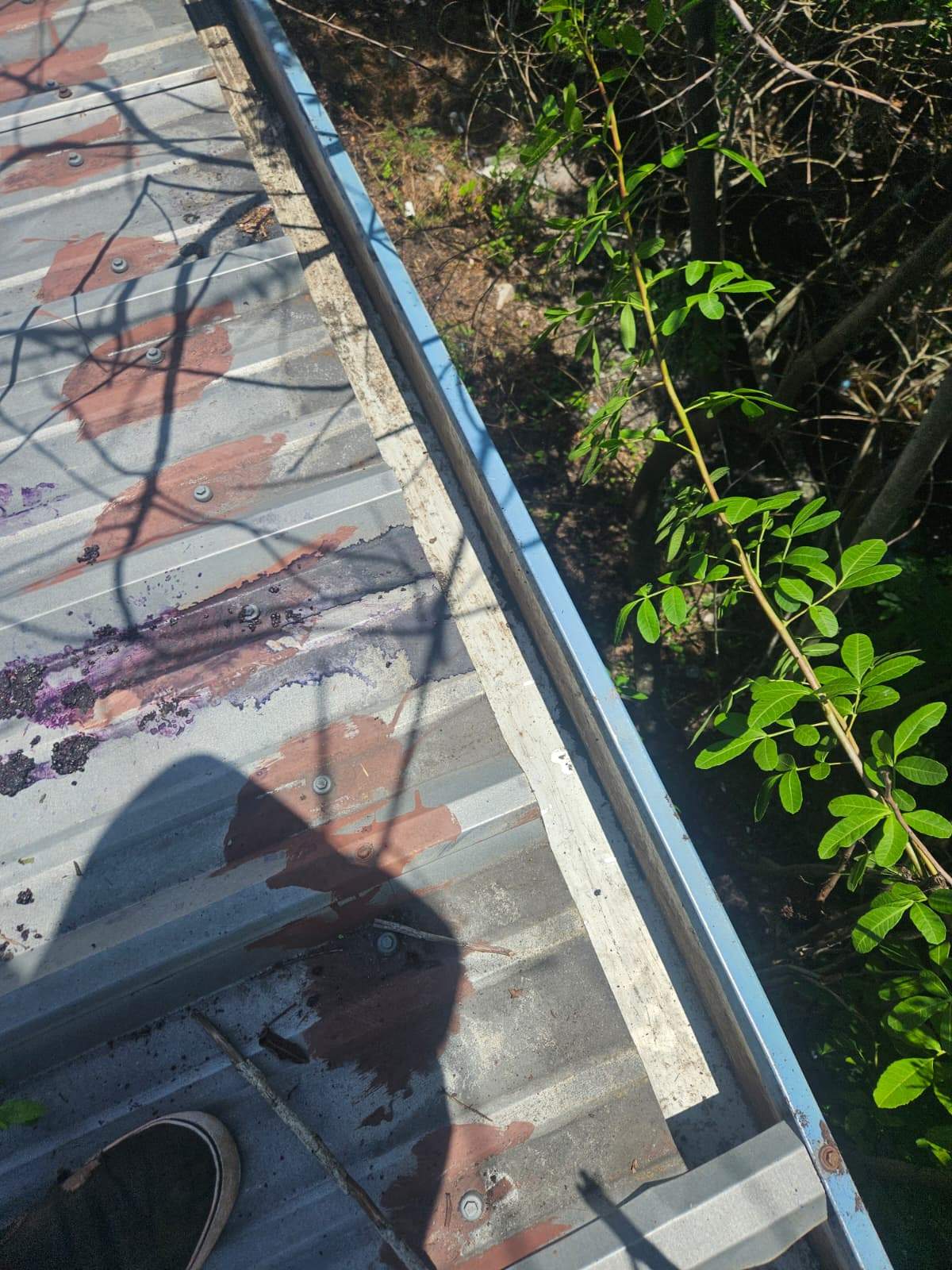 Clean Gutters and Seal Seams in Lakeland FL by Gutter Professors