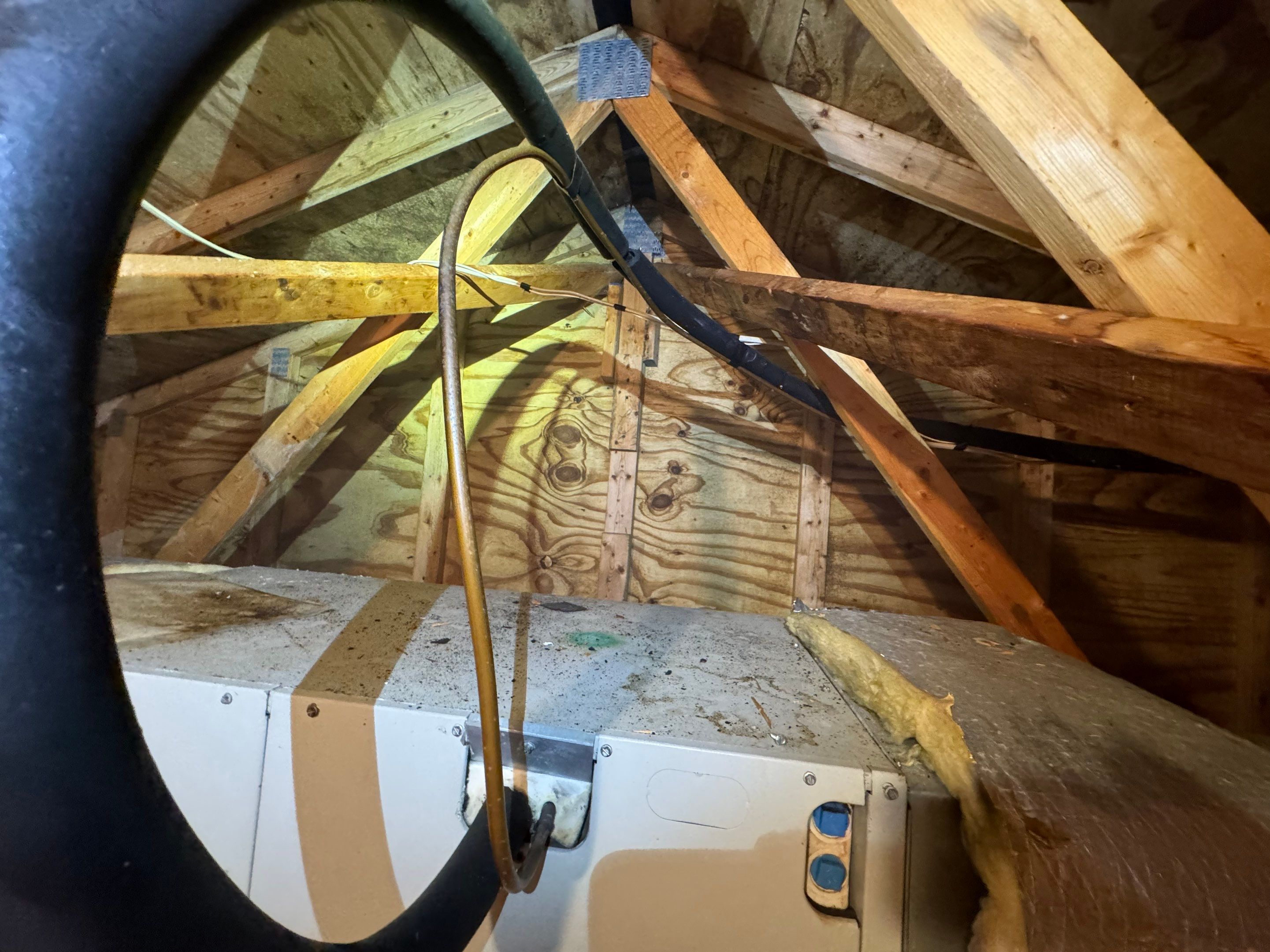Attic Mold Remediation by Home Guarantee, LLC