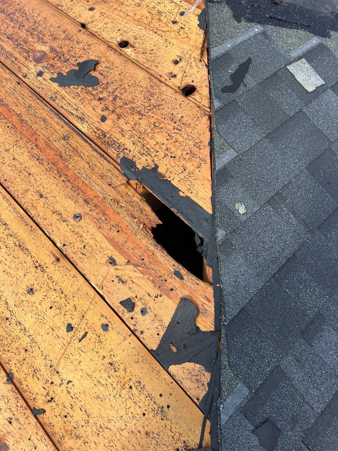 Project in Seminole 33772 by Mitchell Roofing Company LLC