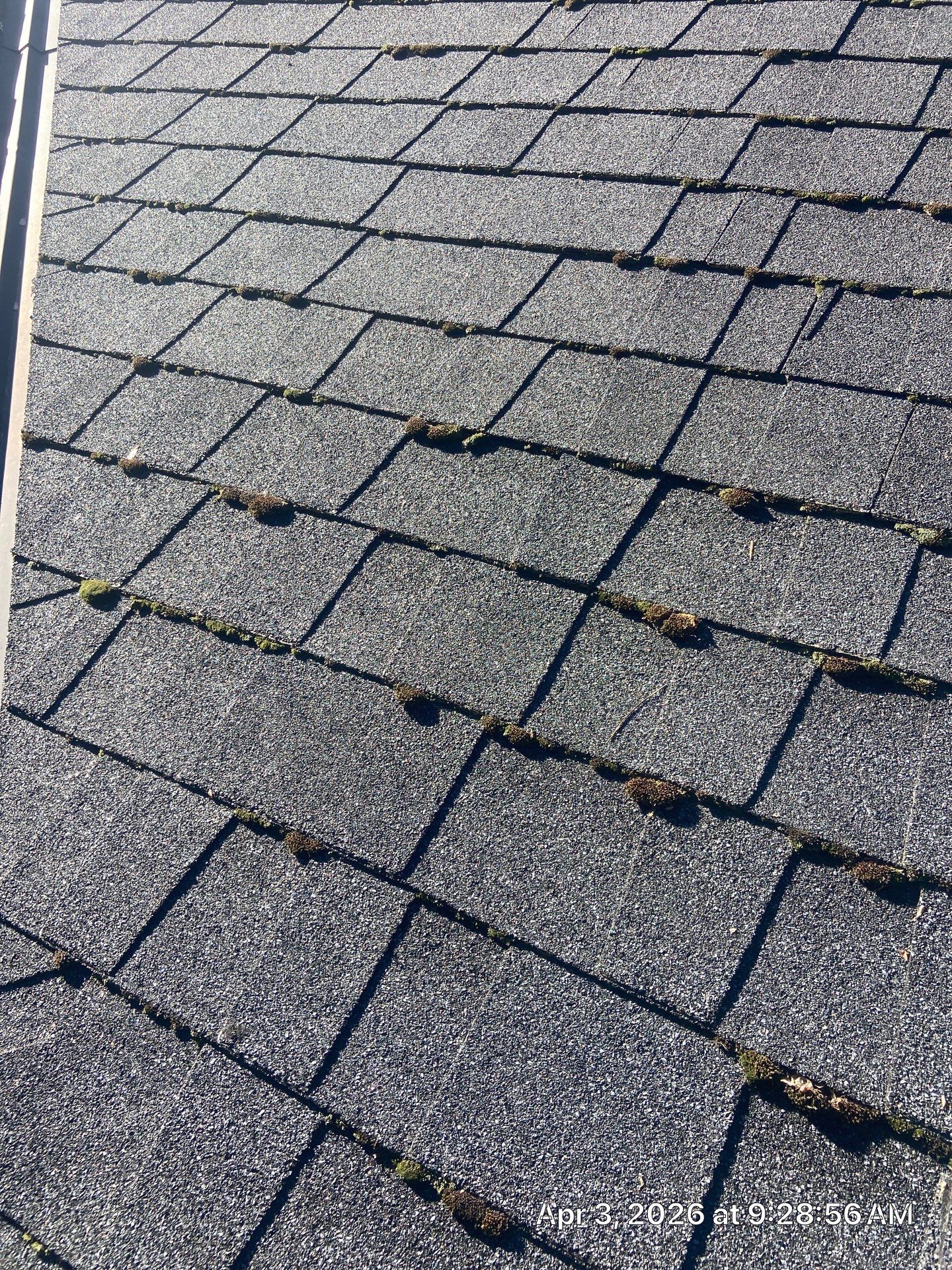 Roof Rejuvenation using Roof Maxx Treatment by Roof Maxx of Folsom