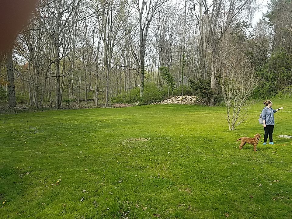 Fence Installation using Vinyl Fence 6ft Privacy by A Plus Exterior