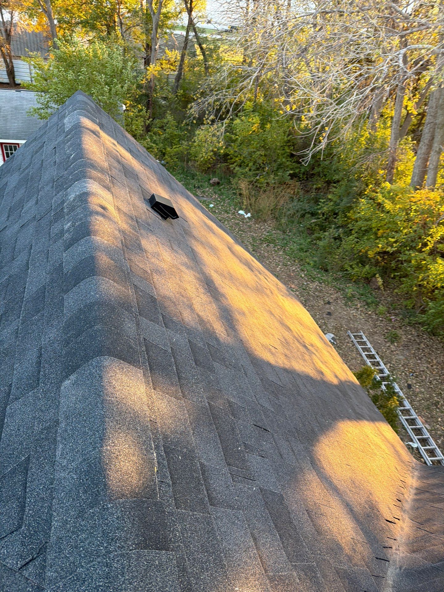 Malarkey Highlander Brilliant Black by Loyal Nine