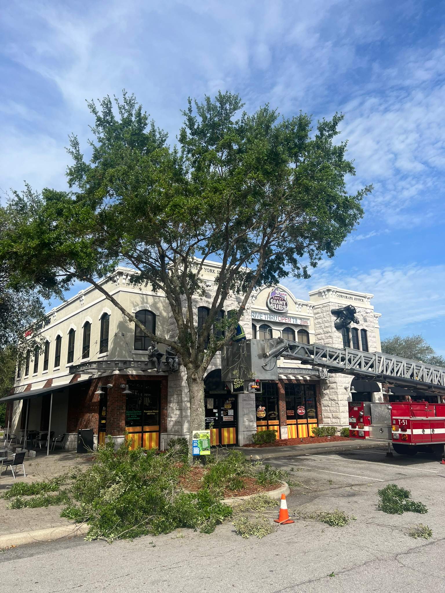 Tree Trimming | Larry's Giant Subs by ProGreen Services