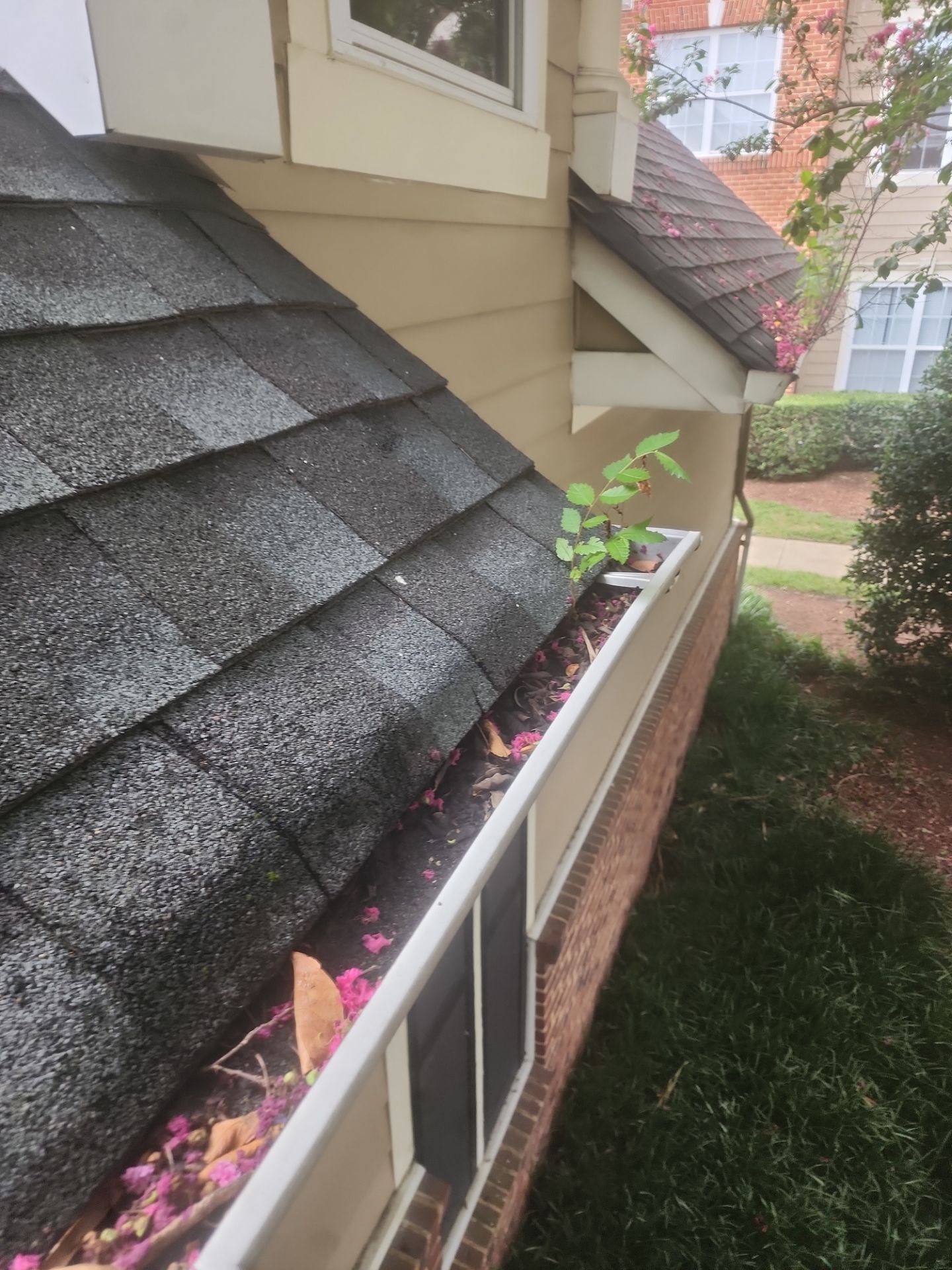 Commercial gutter cleaning Norfolk, VA before photo with filled gutters