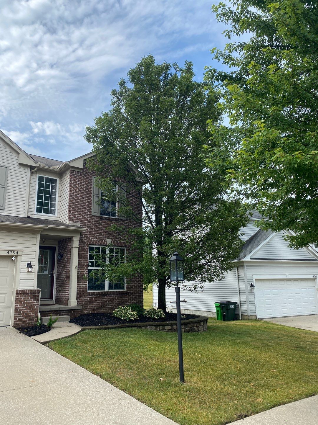 Tree Removal using Tree Removal by Mike Jones & Sons Tree Service LLC 