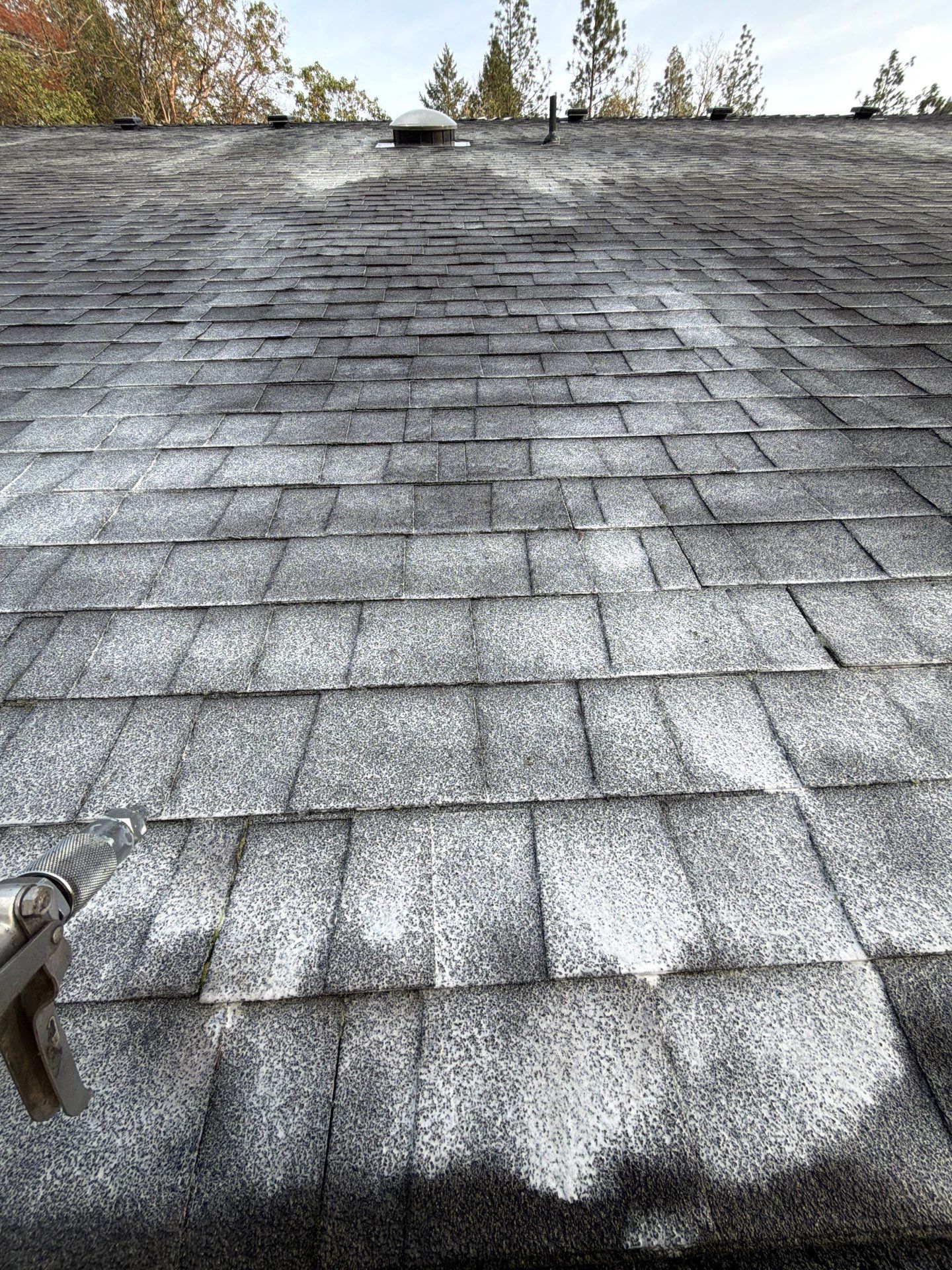 Project in Grants Pass by Roof Maxx of Grants Pass