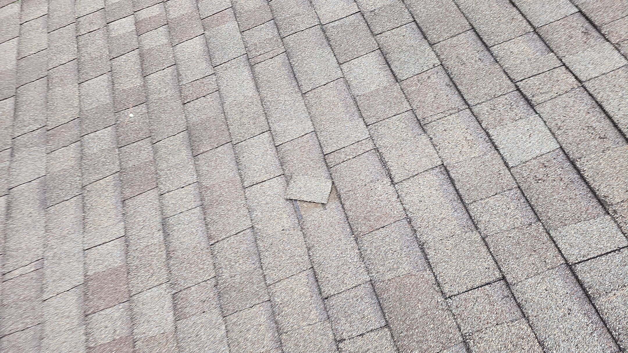 ATLAS PINNACLE COLOR: BLACK SHADOW by Eagle Eye Roofing