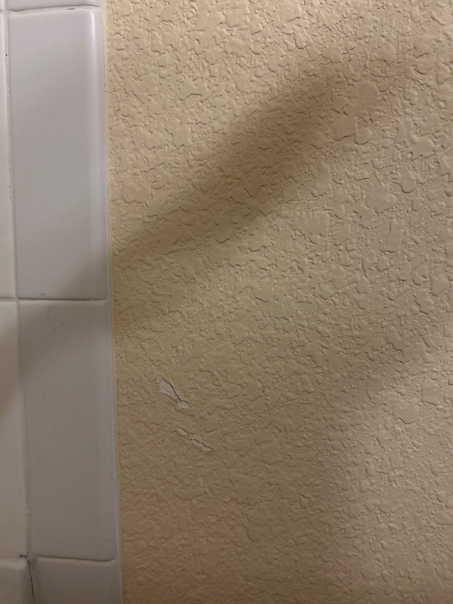 Project in Arvada by Accountable Home Services