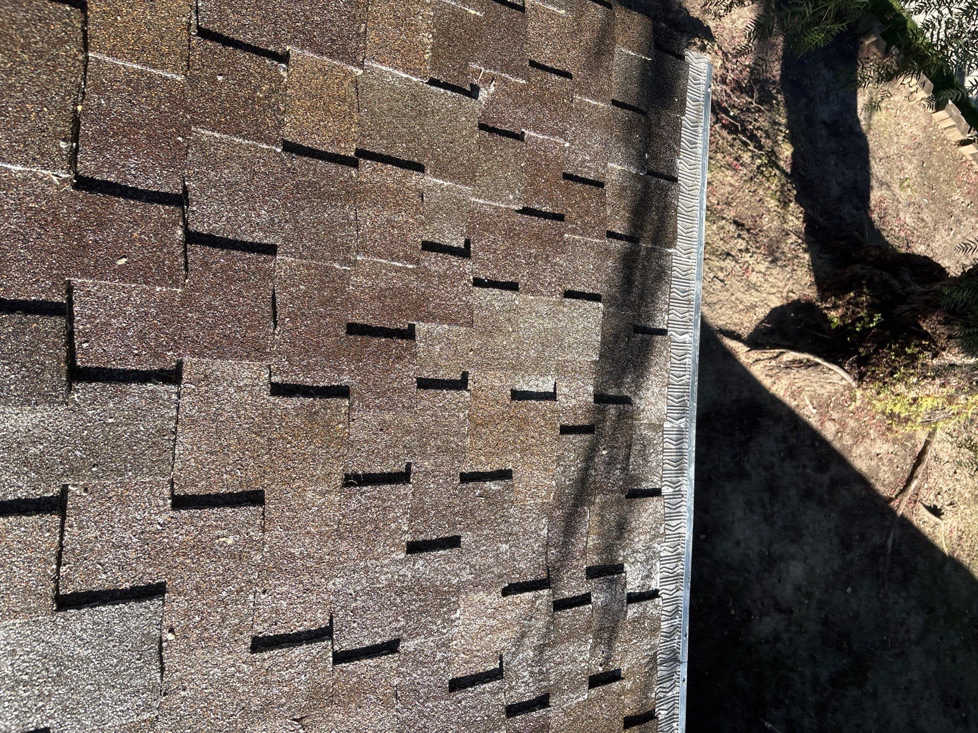 Moss Removal by Top Elevation