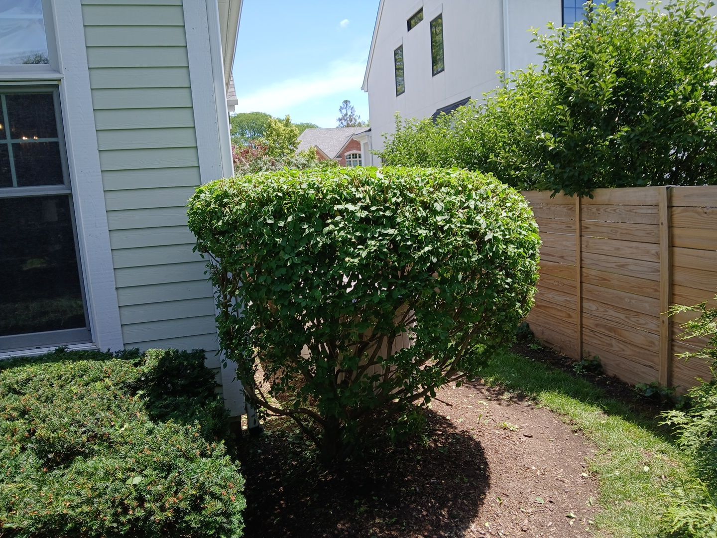 Lisa C. - Arlington Heights, IL by A&N