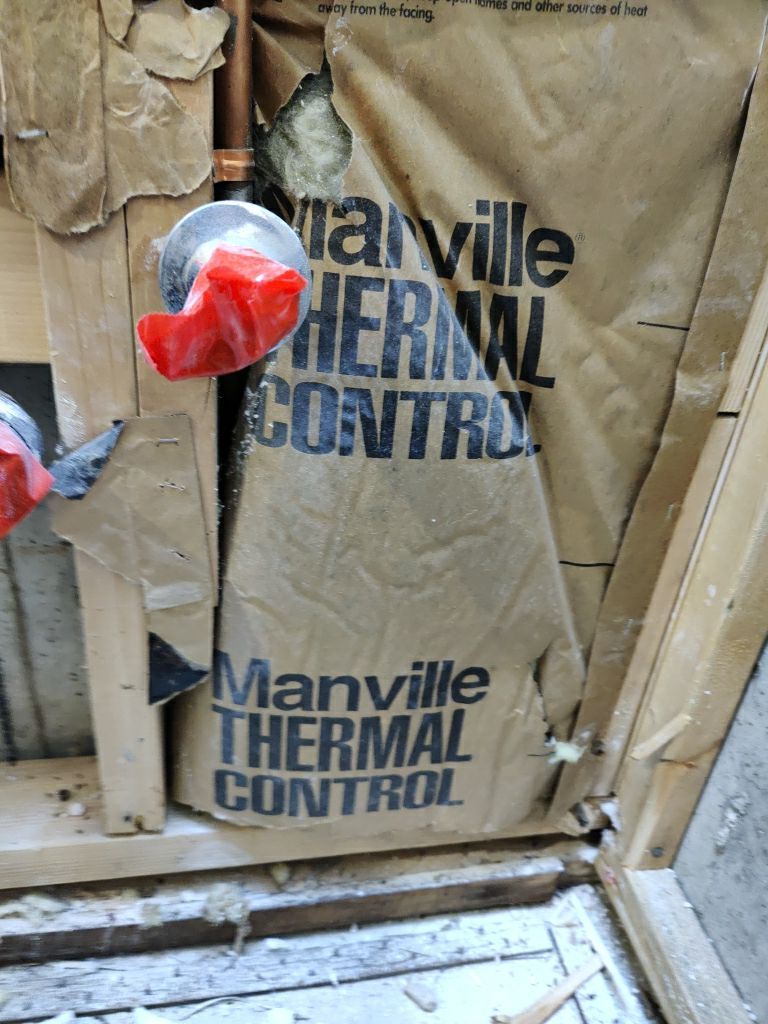 Mold Remediation by Accountable Home Services