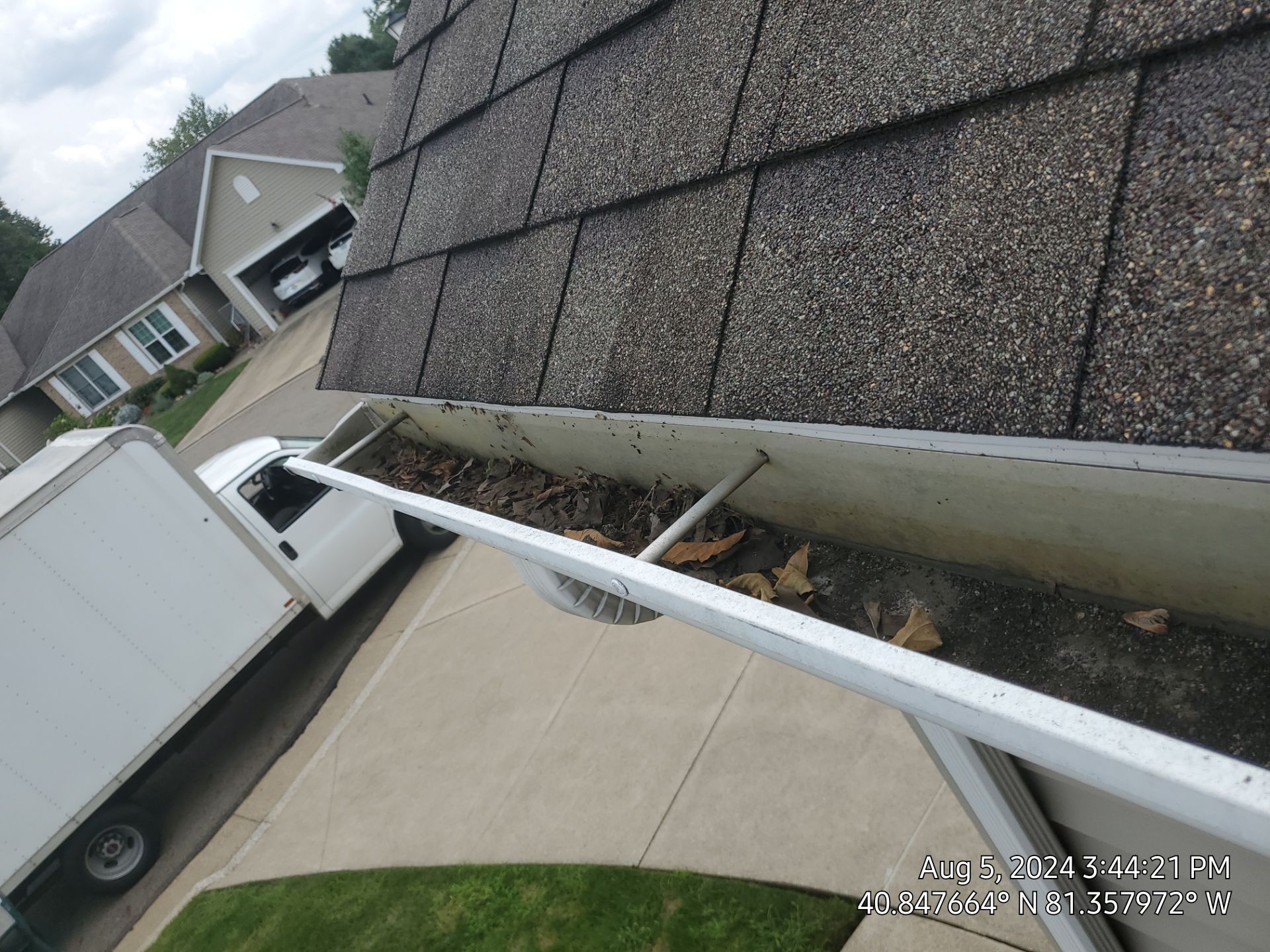 Rae Looby by Silver Leaf Contracting 