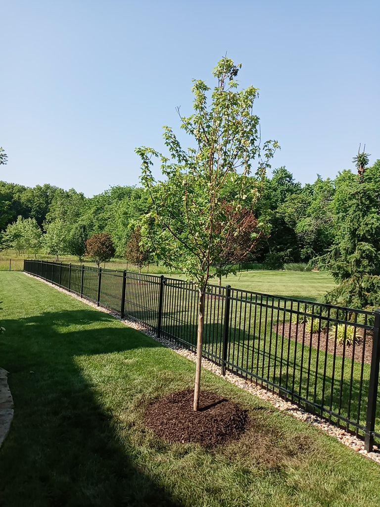 Front Yard Landscape and Walkway Renovation in Overland Park by LAND ESCAPES LLC