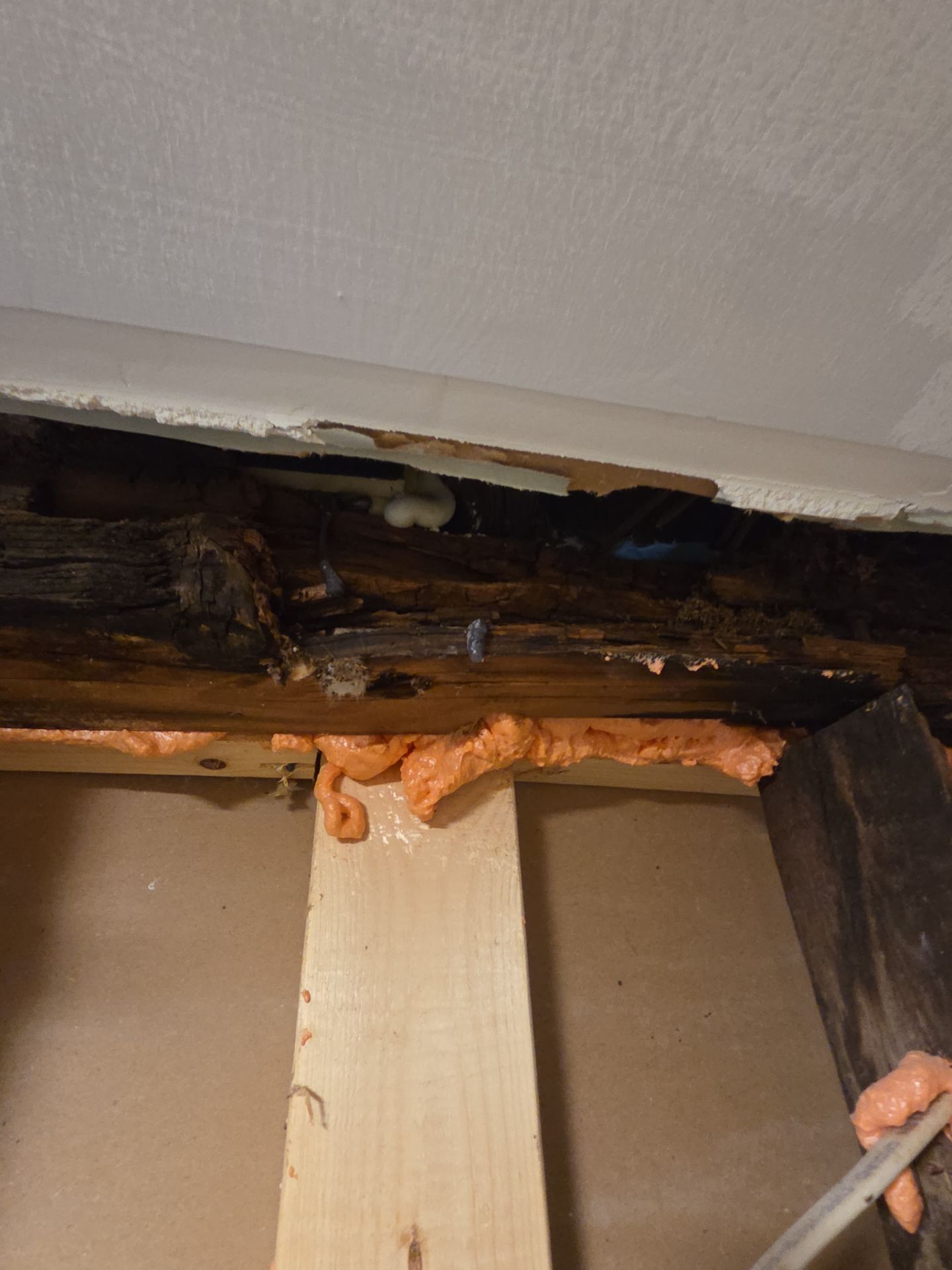 Project in Hamilton by Parkhurst & Kent Construction llc 