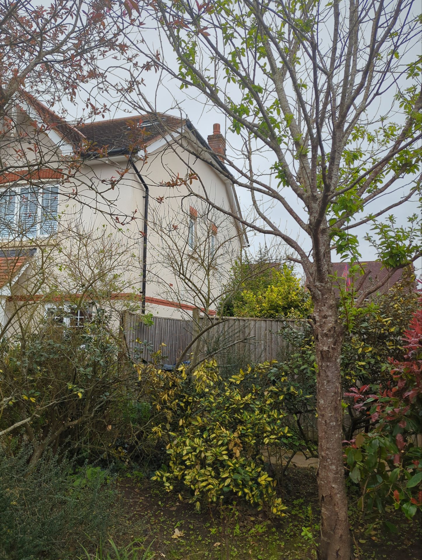 Render Clean using Softwash Equipment by Ges Exterior Cleaning ltd