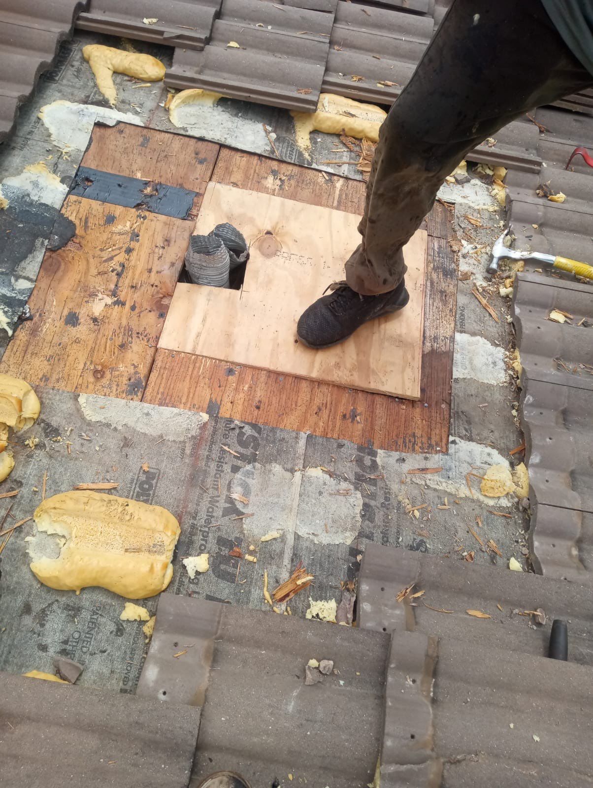 Giampri Corp / THE GOAT CONTRACTOR featured photo.