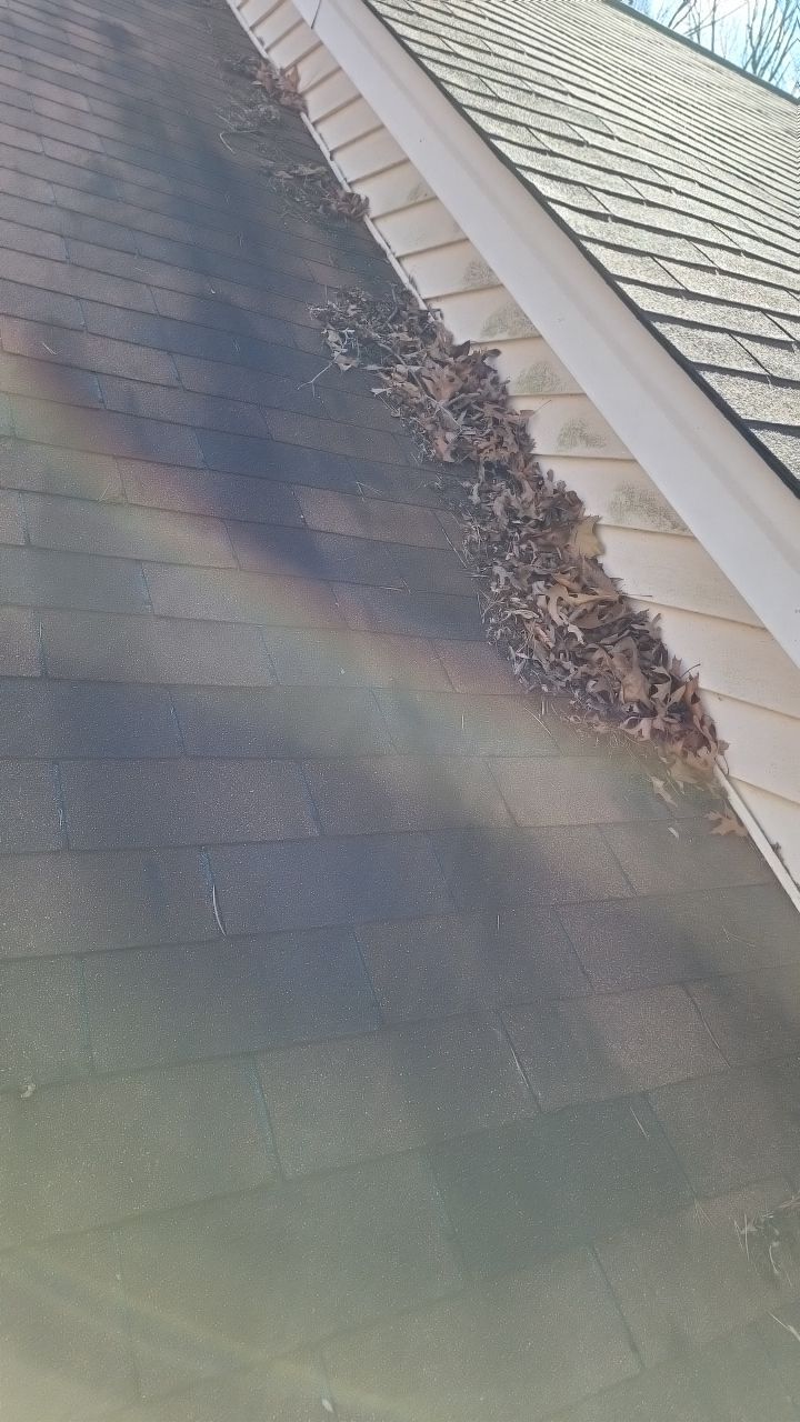 Gutter and Roof cleaning using cleaner by G&H Home Tech Pros LLC