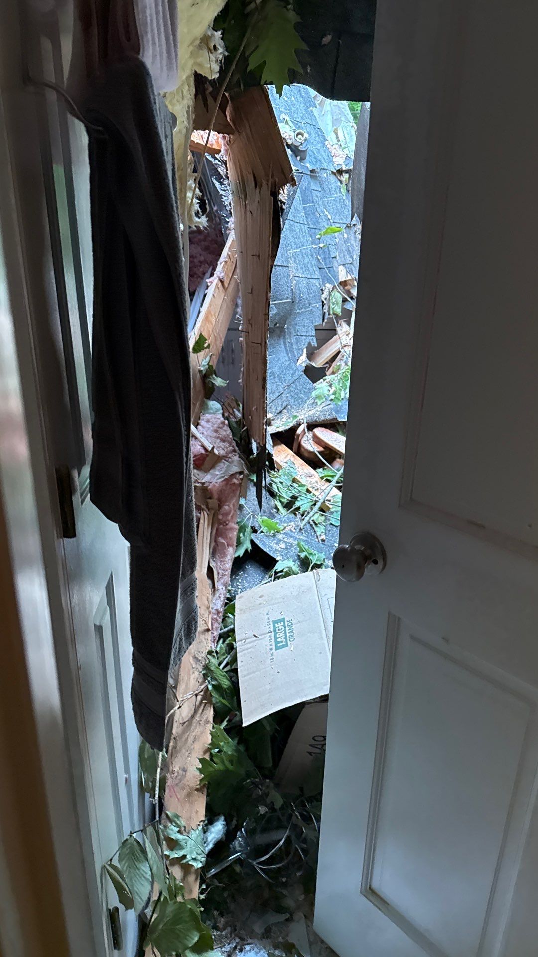 Storm Damage Mitigation and Structural Drying After Tree Impact in Raleigh by One Team Restoration