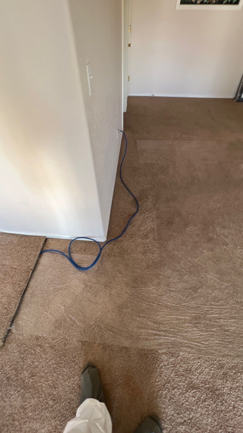 Mold Damage by Accountable Home Services