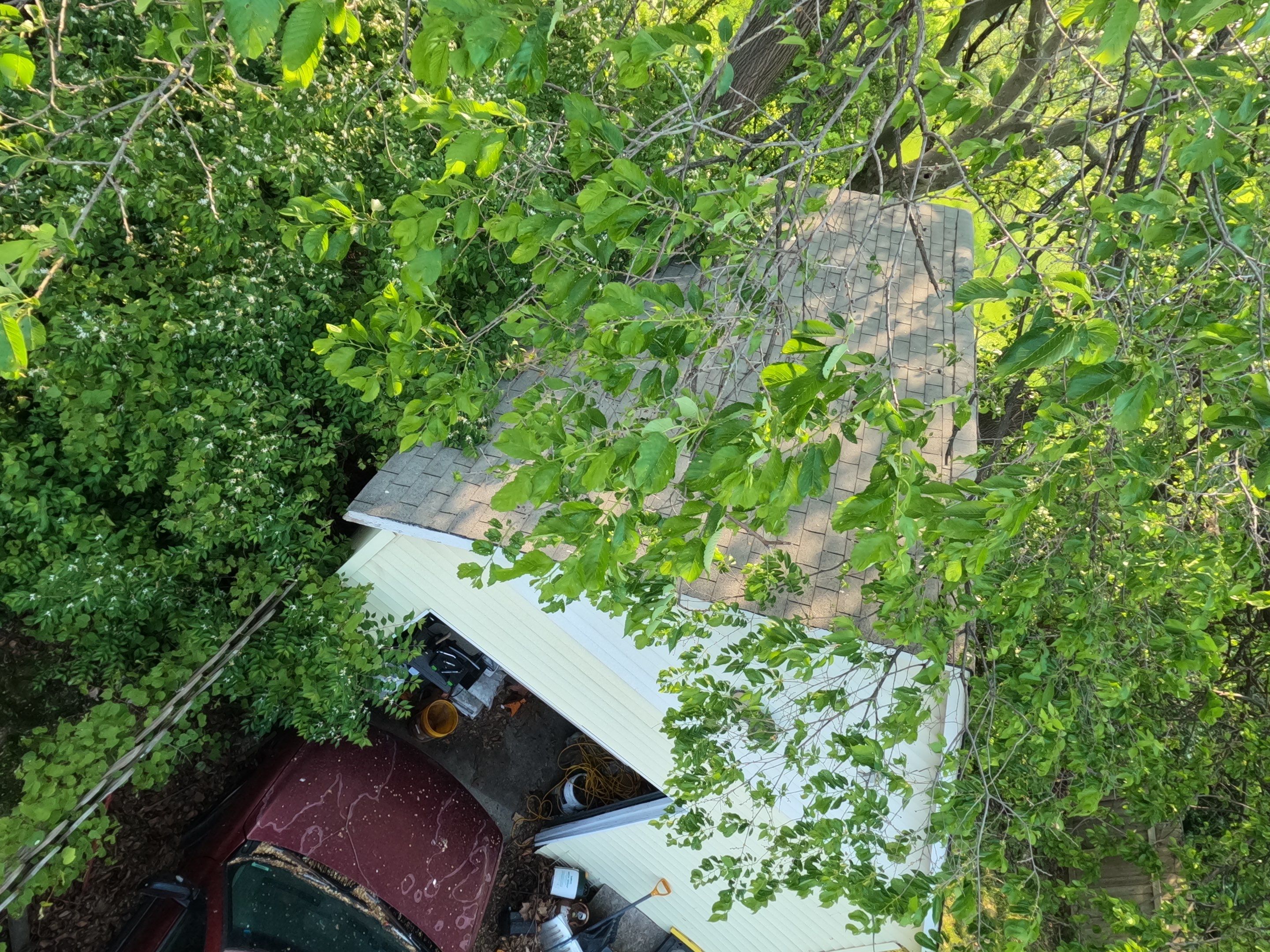 Residential Roof Replacement using Ownens Corning Duration Brownwood by Absolute Roofing and Construction