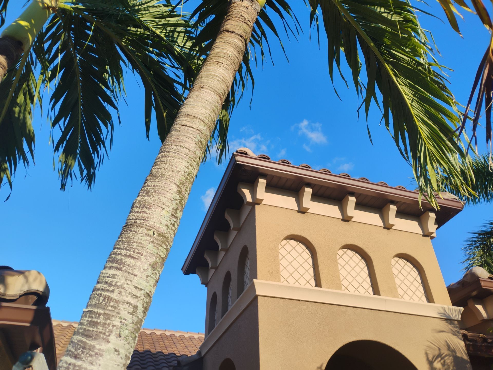 Premium 7-Inch Seamless Gutters in Cape Coral FL by Gutter Professors