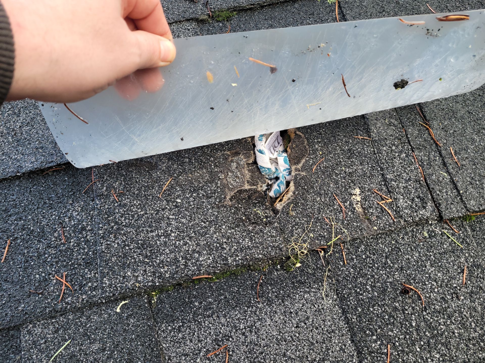 Residential Reroof by BEST Roofing & Waterproofing