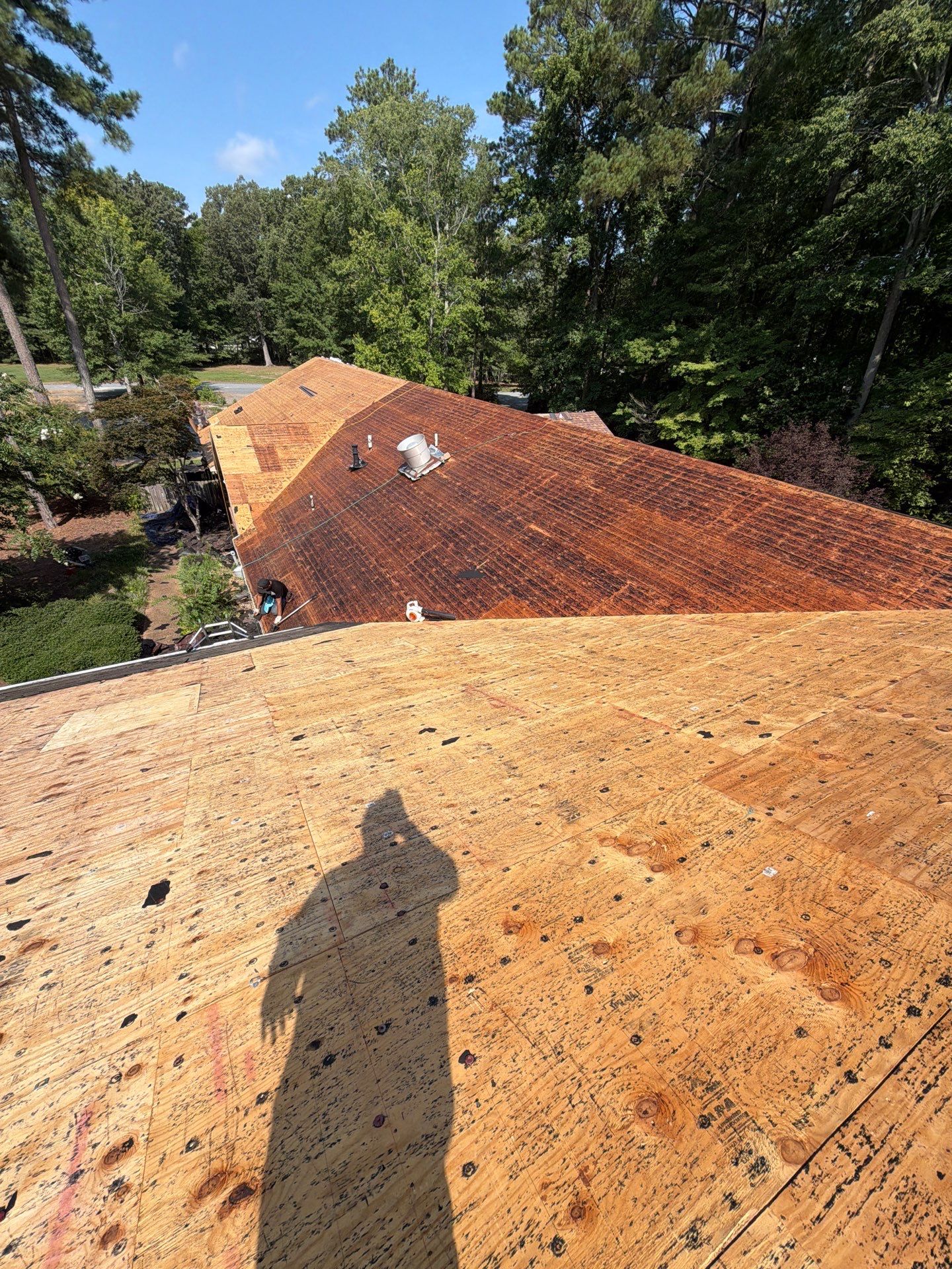 Comprehensive Asphalt Shingle Roof Replacement in Mathews, Virginia by Cade Construction