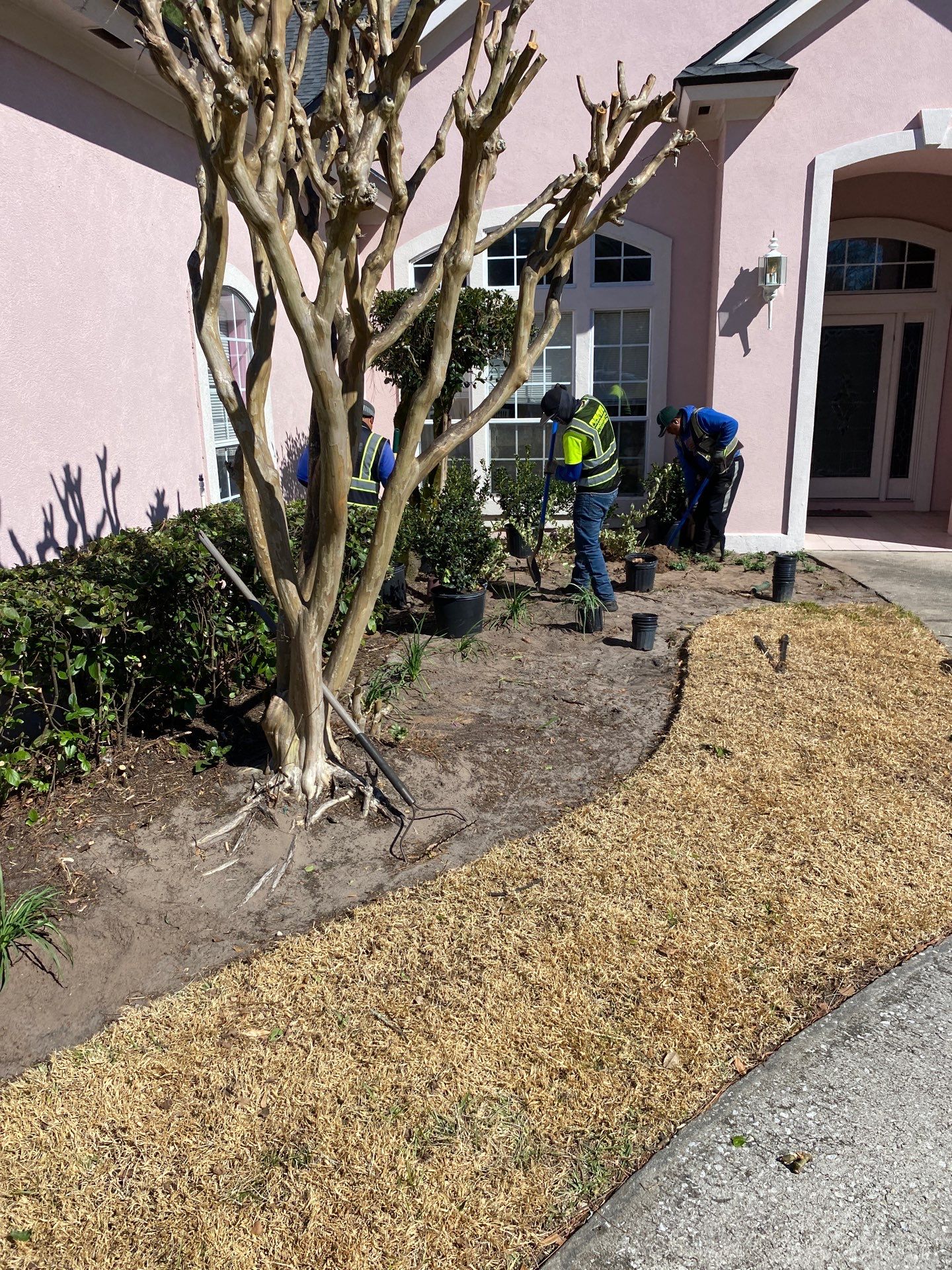 Deerwood Resident | Tree Removal & Clean-Up by ProGreen Services