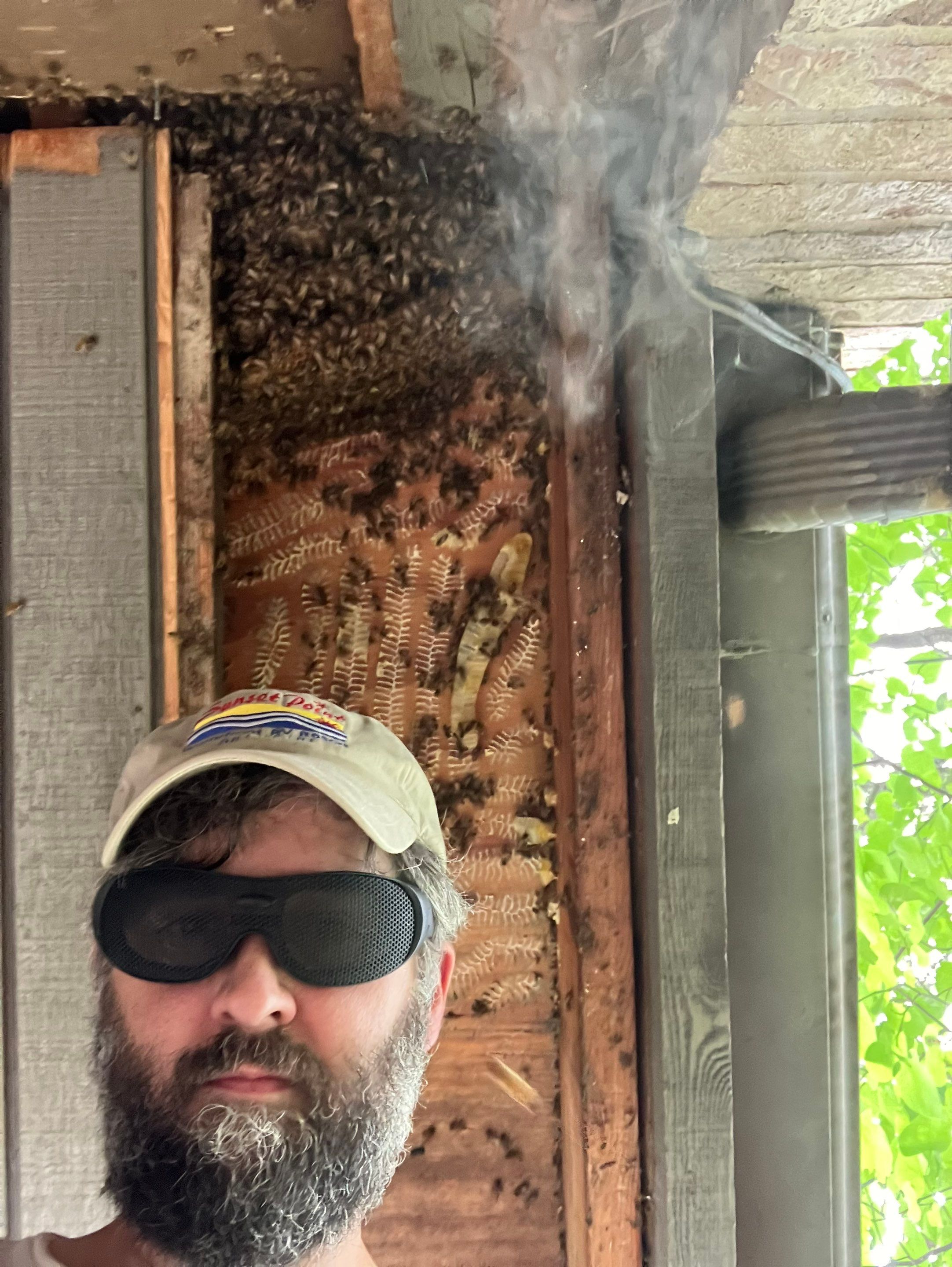 Love this house! by Rockwall Honey Bee Company