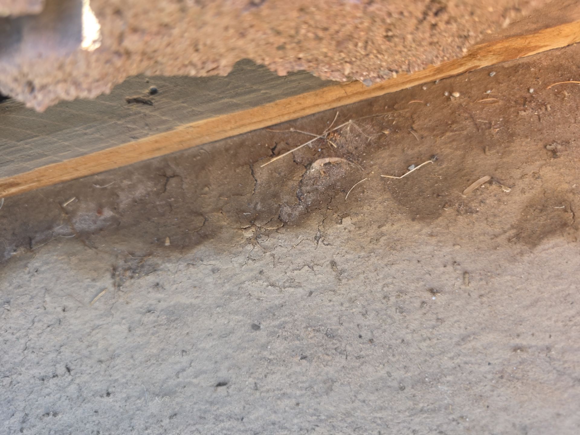 Gold Canyon Tile Reset by Weather-Tite Roofing