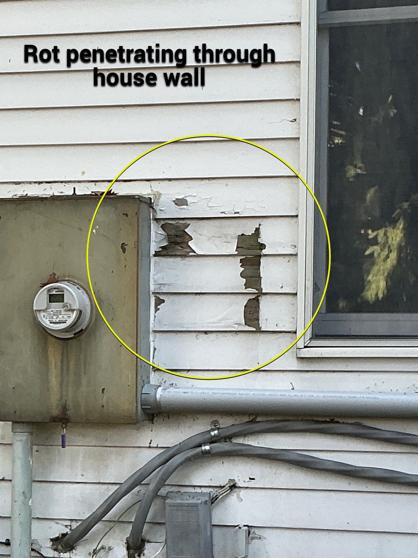 Johanna's Home in Newtown by Window Guardians