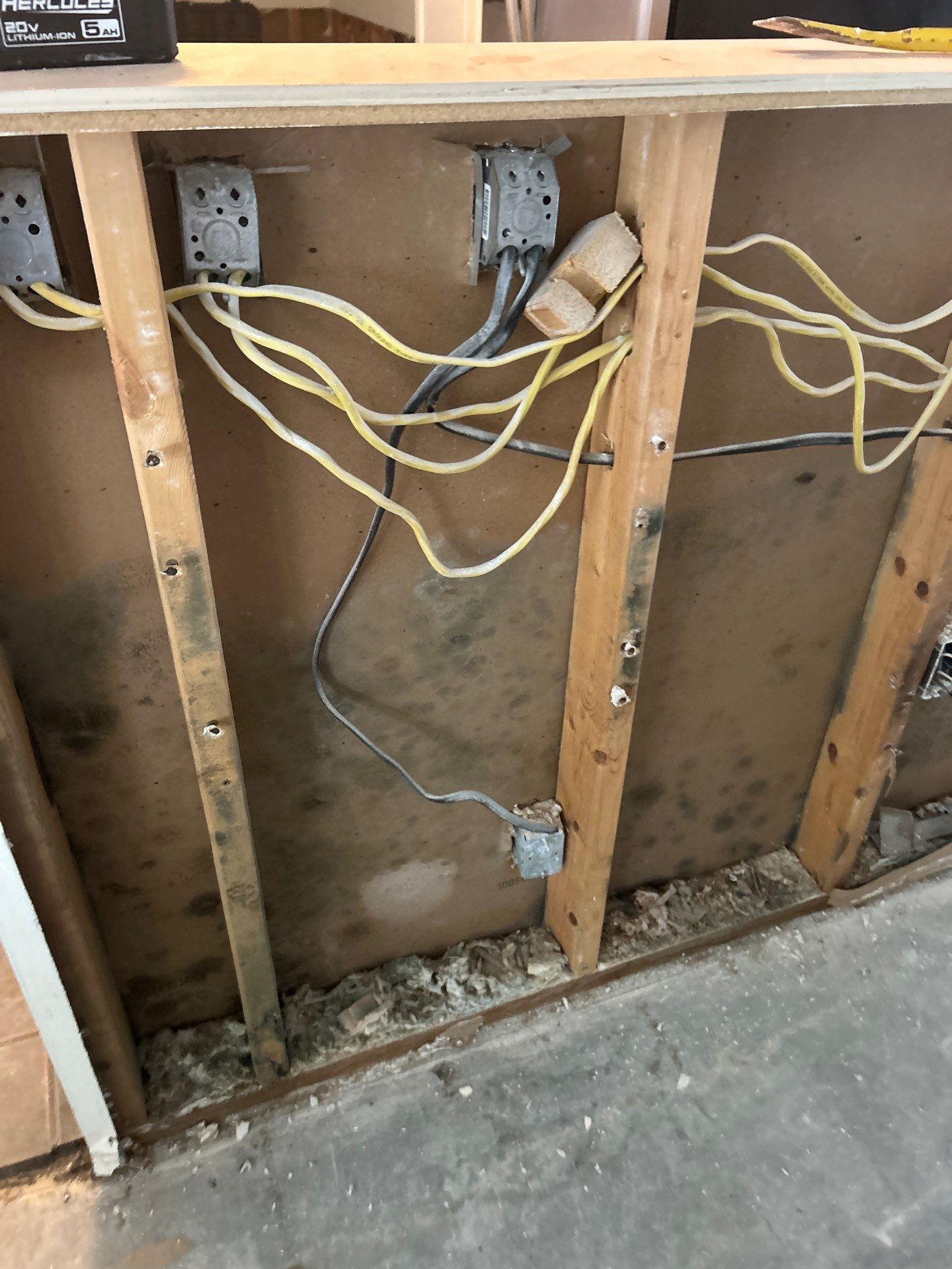 Mold Remediation In Sarasota by Ampm Restoration Services