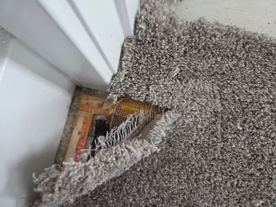 Repairing Frayed, Damaged Carpet