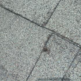 Hail Damage using Owen's Corning Duration (Lifetime) Shingles by Roof Repair Company