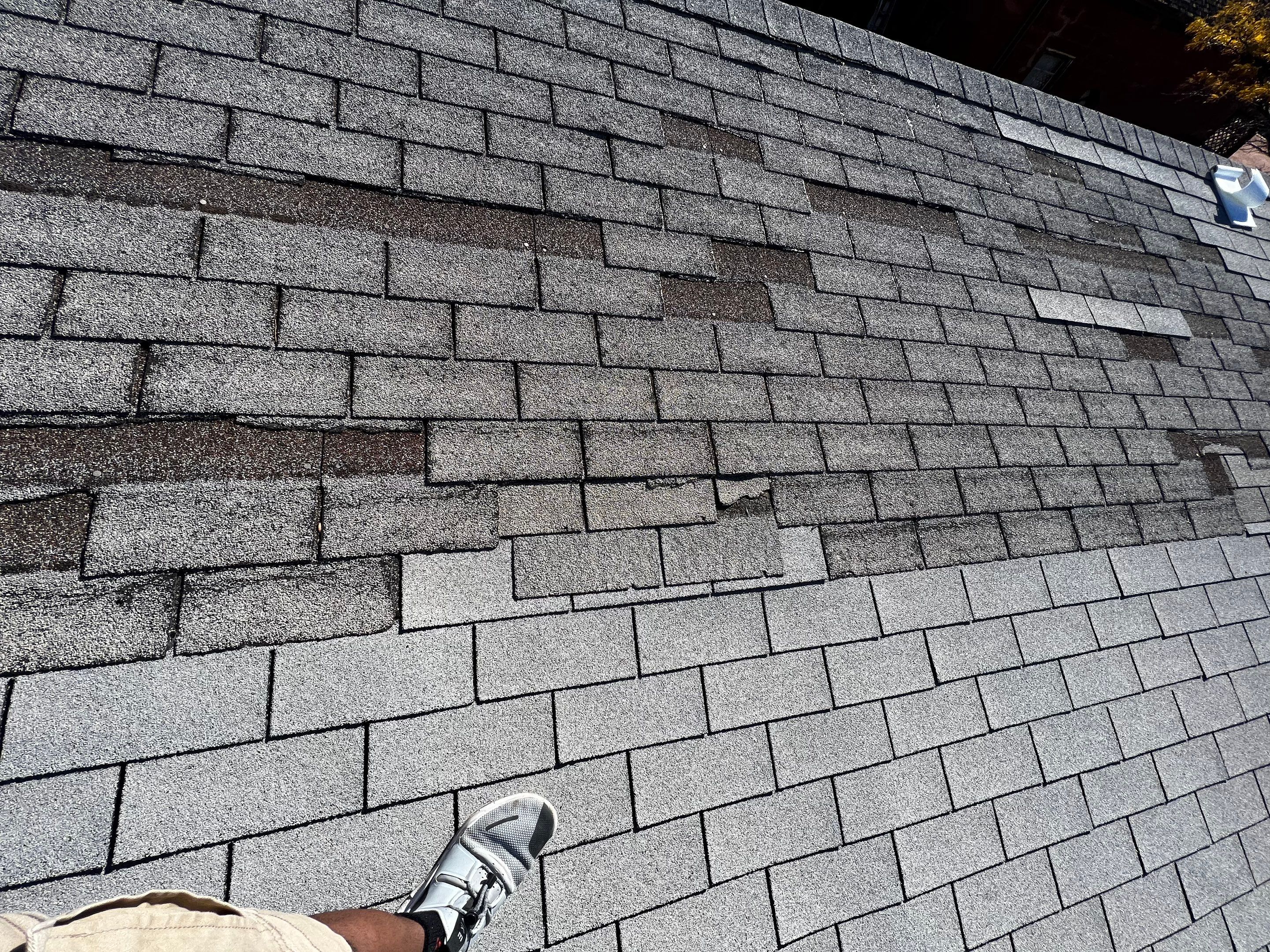 Lacey's Full Re-roof by All Storm Roofing & Construction