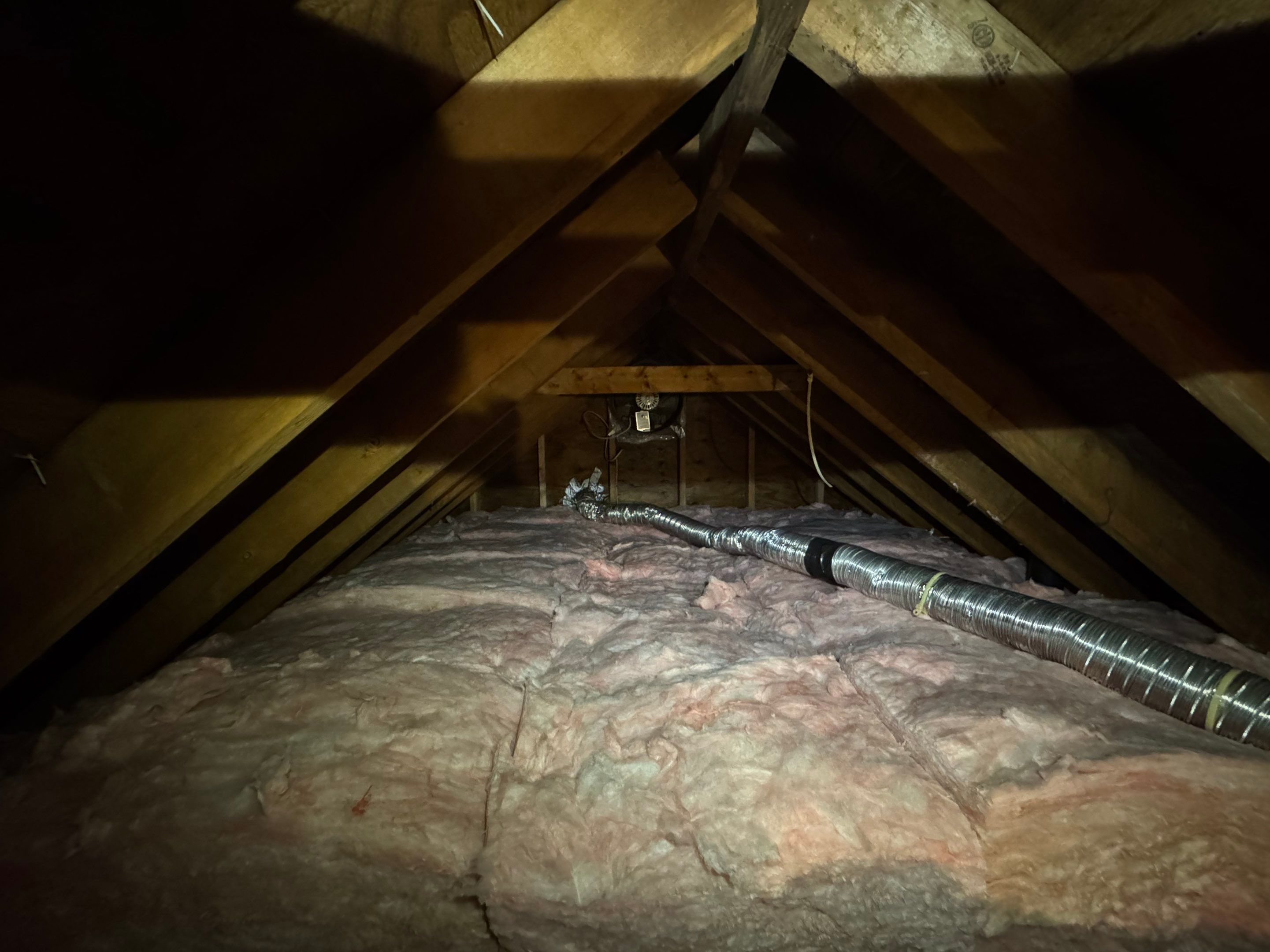 Attic Mold Remediation using Home Guarantee by Home Guarantee, LLC