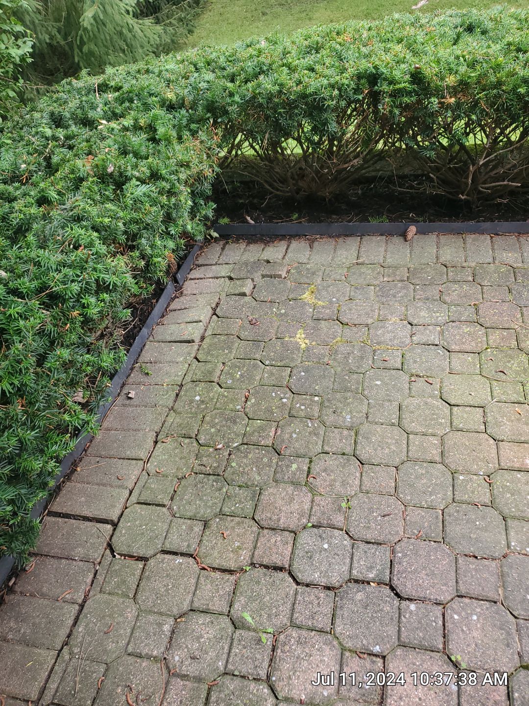 Brick paver repair, clean and seal by Northern Power Washing LLC.