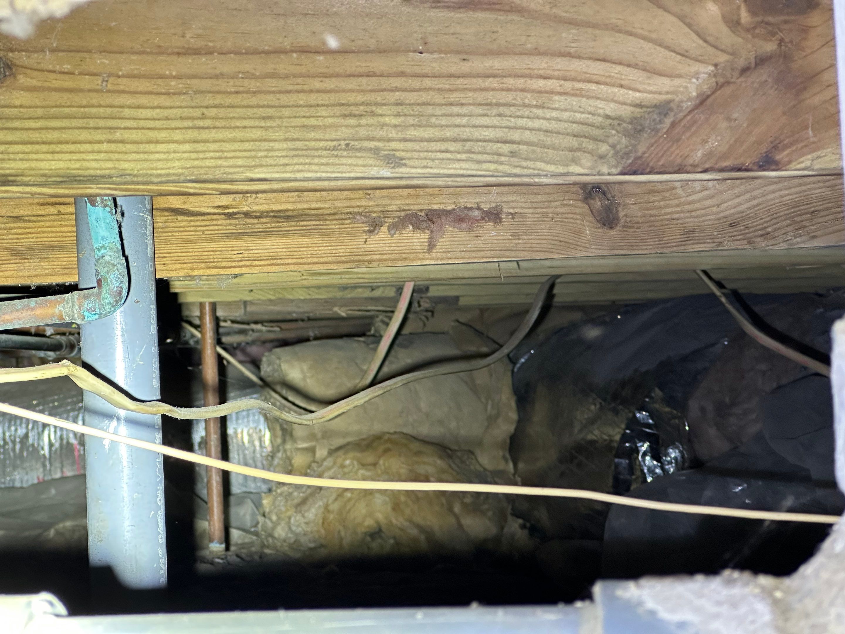 Impact Choice Encapsulation on a low crawlspace. by Impact Crawlspace