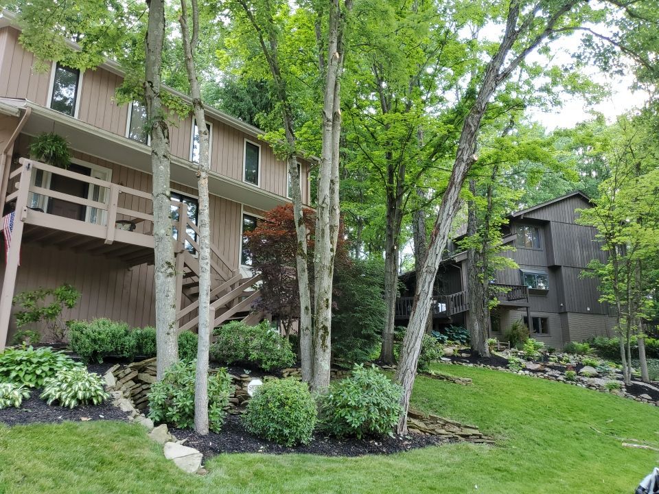 Tree Trimming using Tree Pruing by Mike Jones & Sons Tree Service LLC 