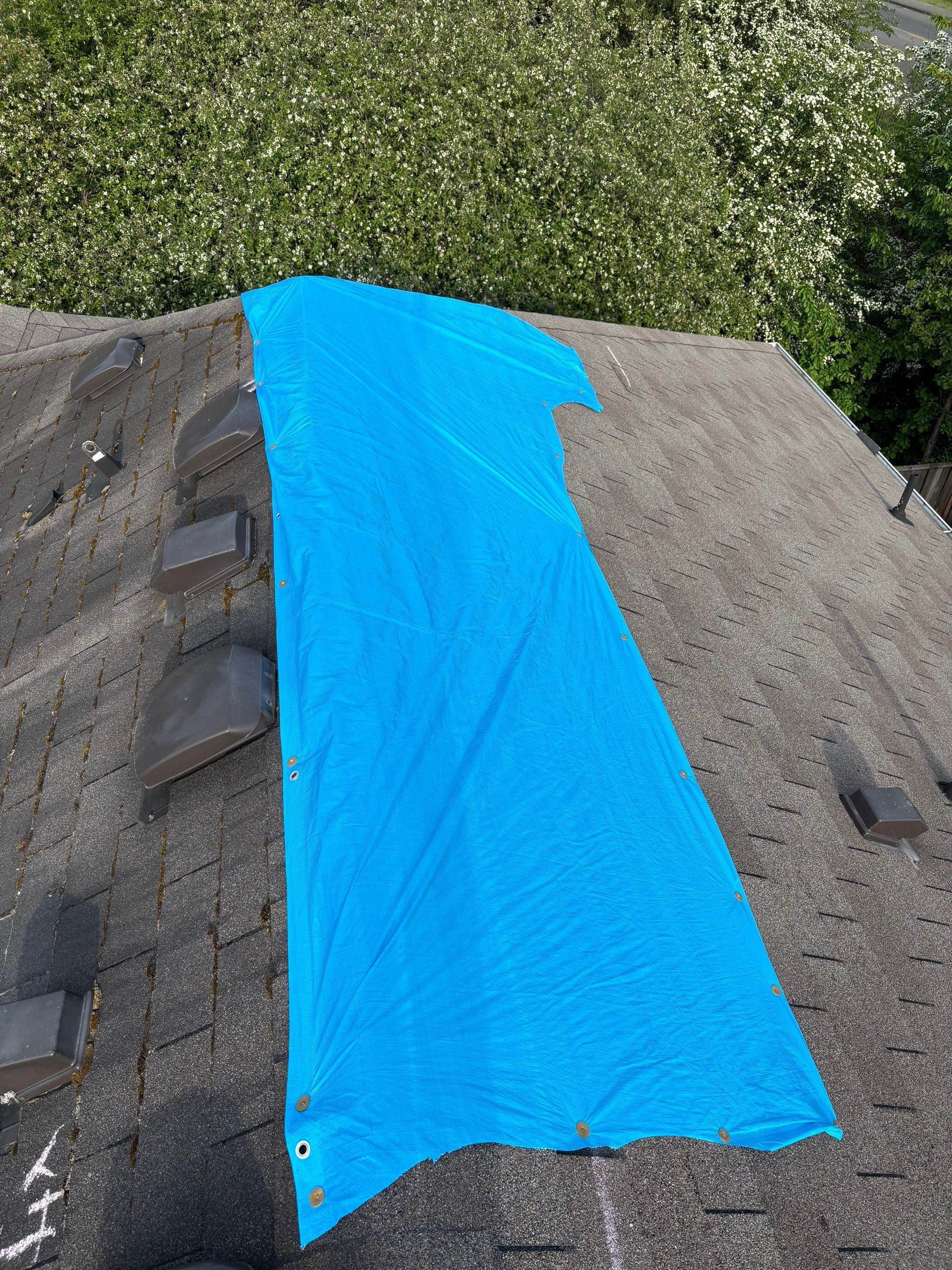Spanaway WA, GAF Timberline NS, Weatherwood by Proline Roofing & Restoration LLC