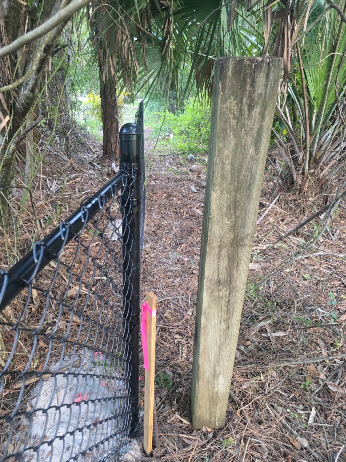 Chain Link Fence in Naples by True Fence LLC