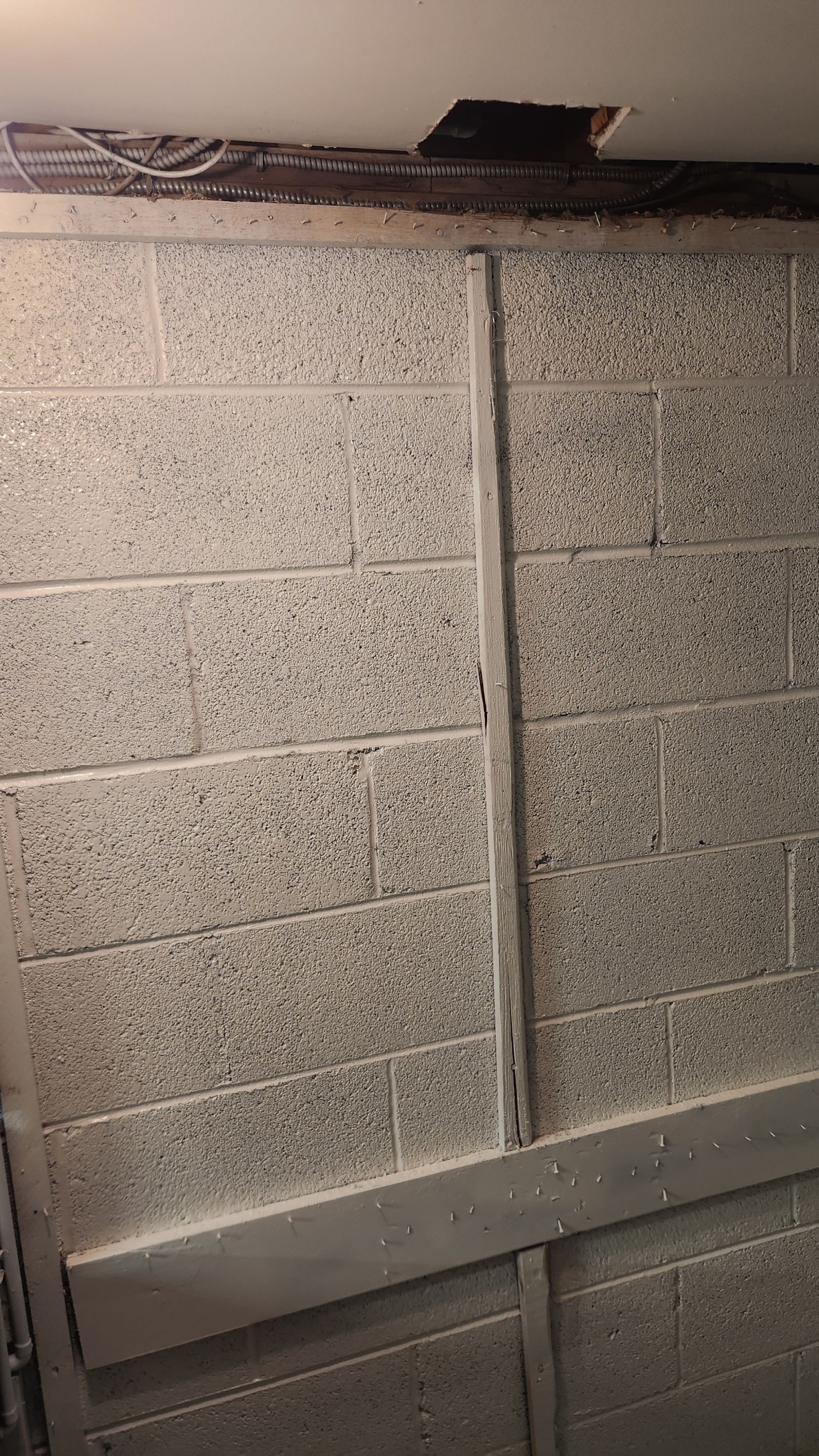 Interior French Drain & Mold Remediation Project in Manville, New Jersey by Pure Service Pro, LLC 
