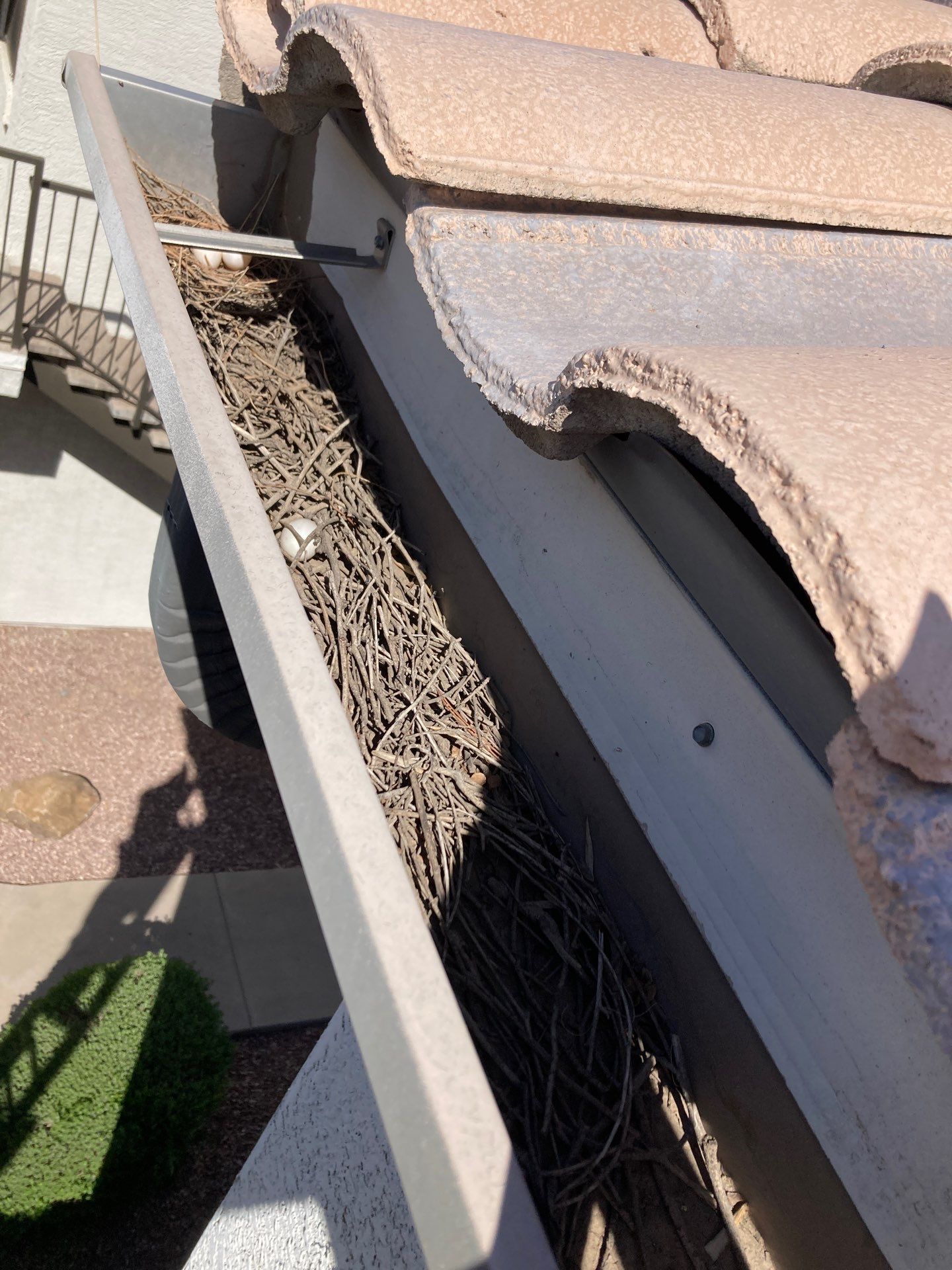 Commercial gutter cleaning Phoenix before photo with filled gutters