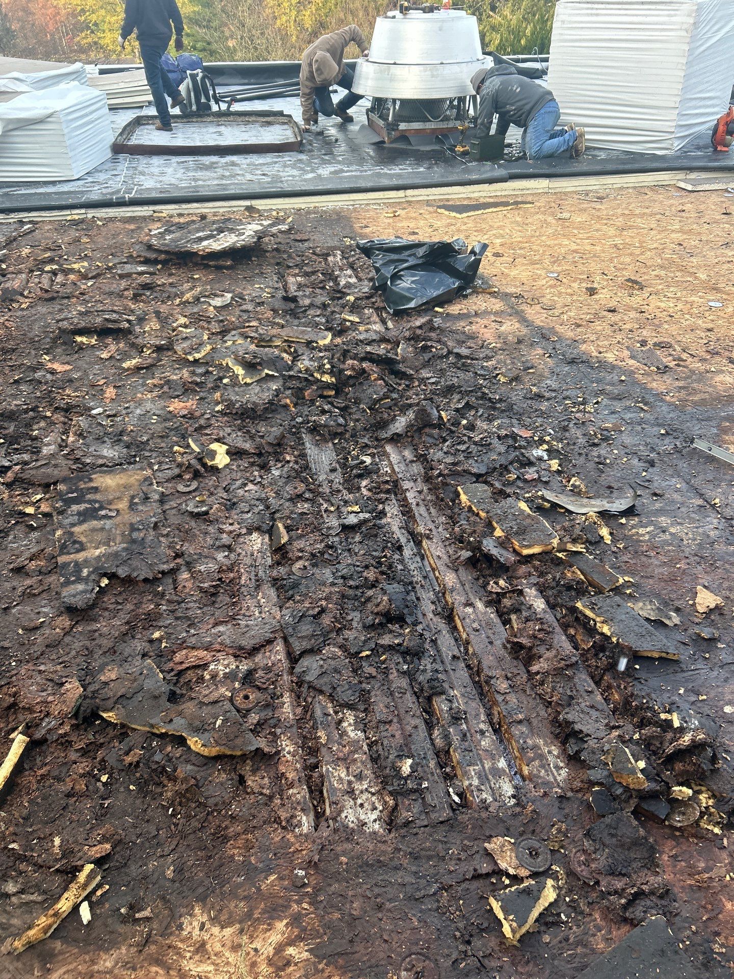 Project in Terra Alta by Duarte’s Roofing 